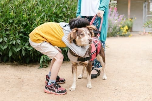 Type of Service Dogs