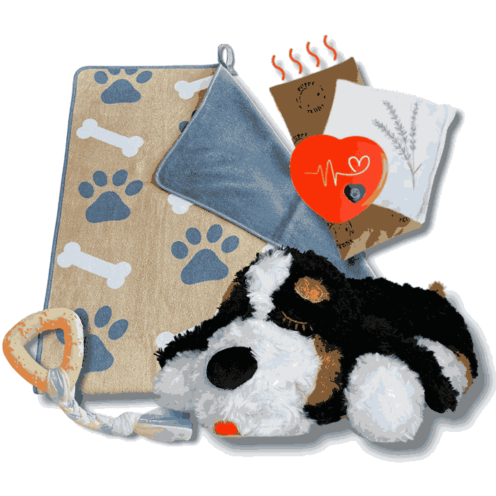 Calming Buddy Kit