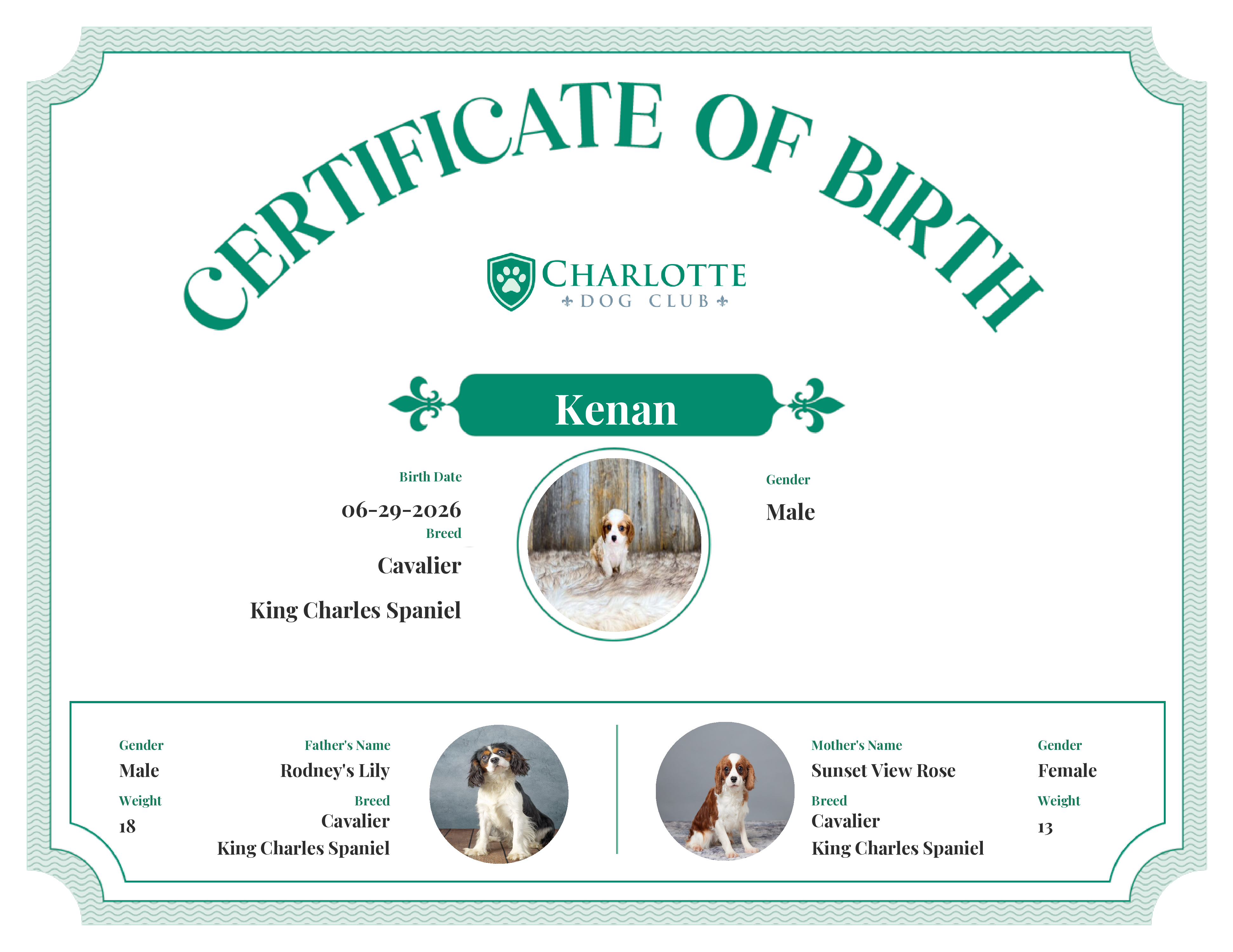 Kenan's Birth Certificate