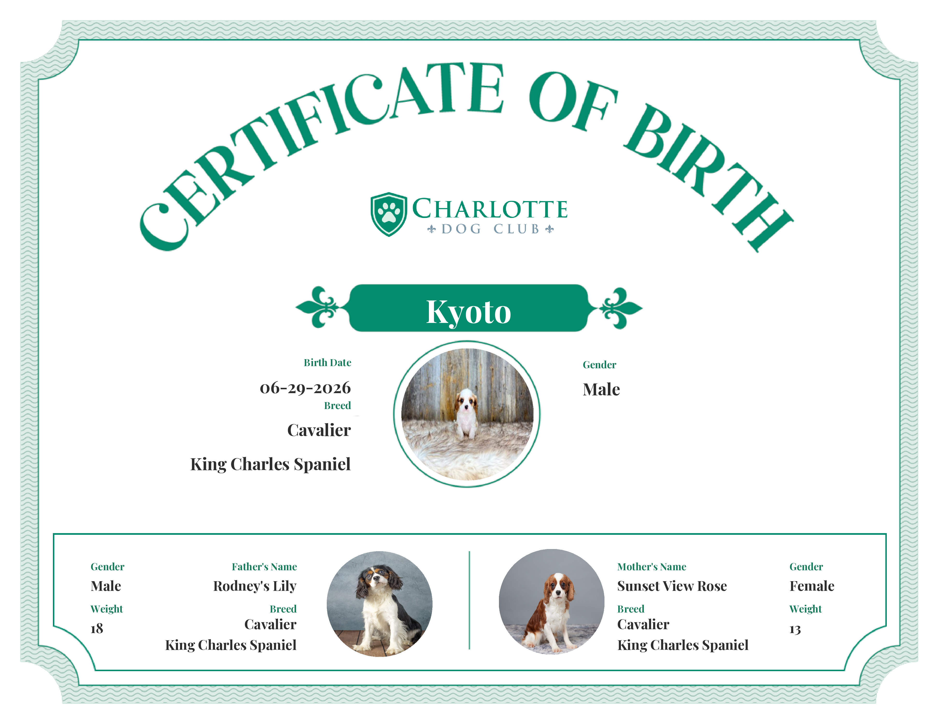 Kyoto's Birth Certificate