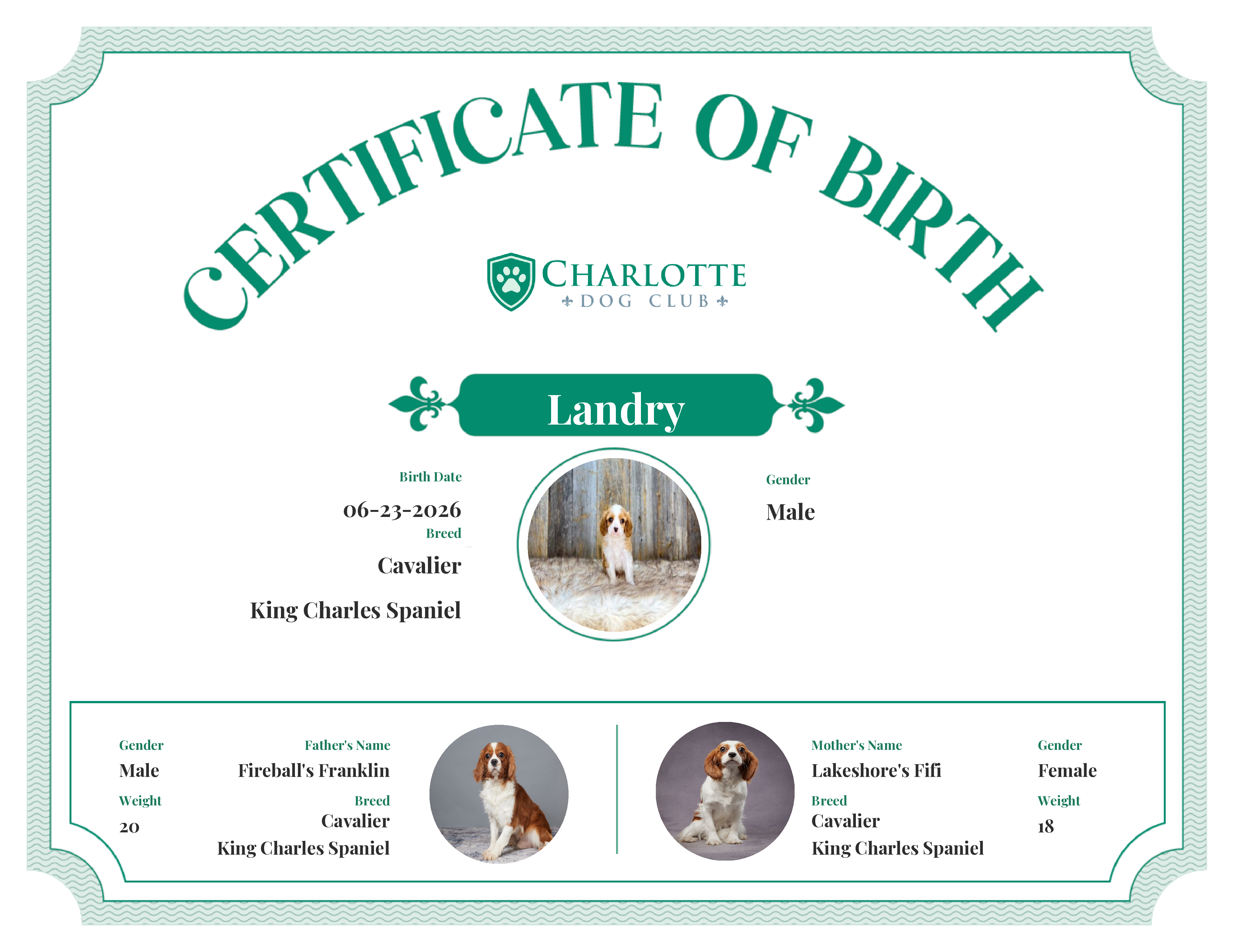 Landry's Birth Certificate