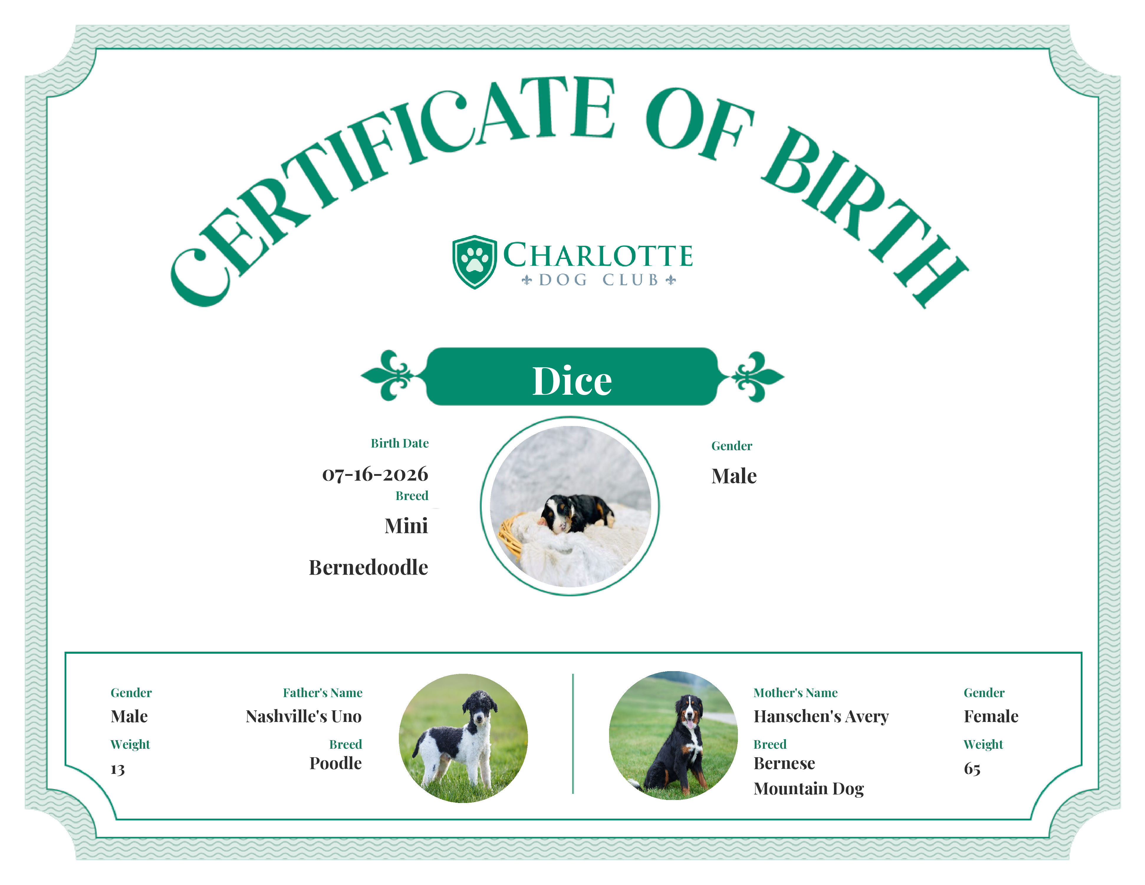 Dice's Birth Certificate