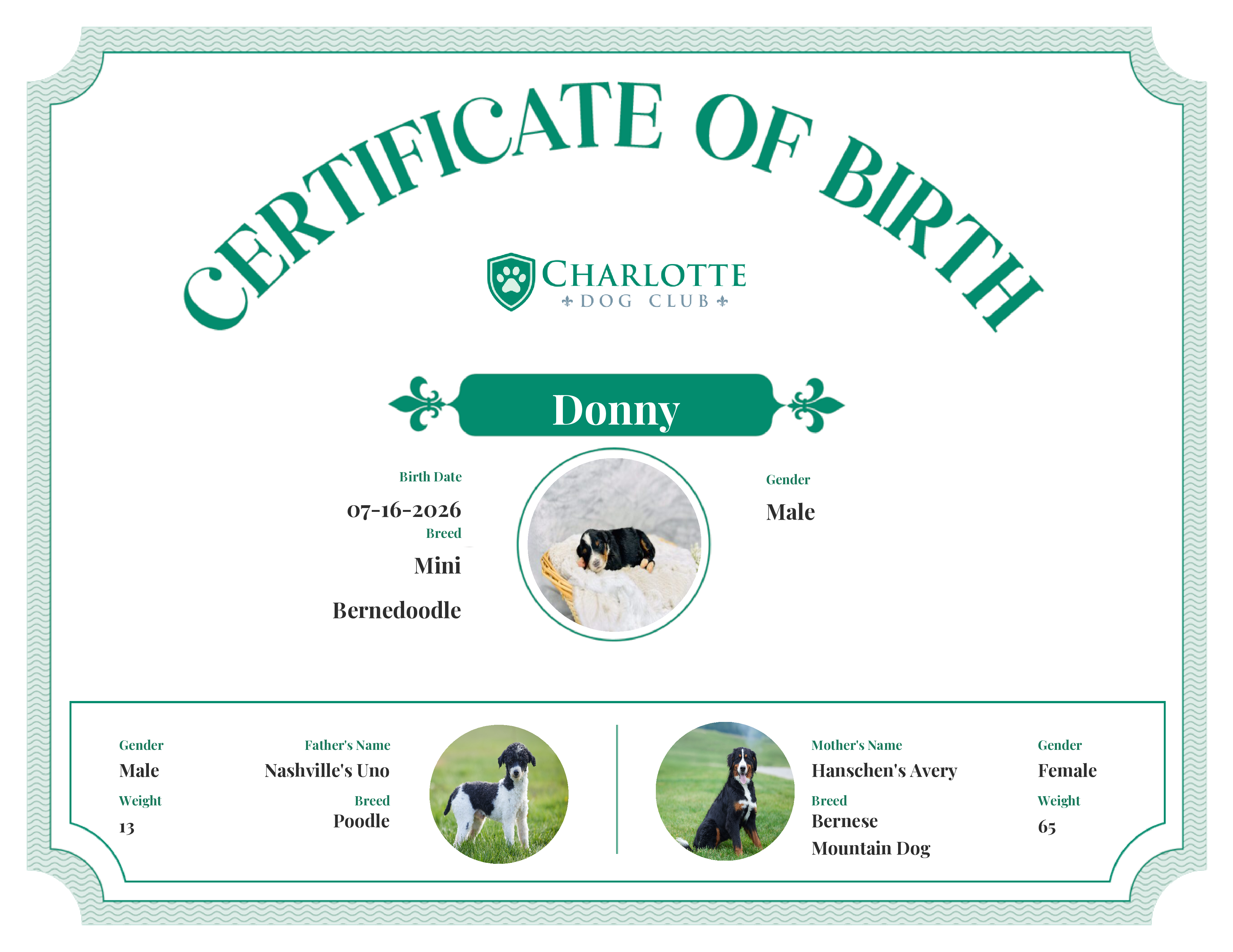 Donny's Birth Certificate