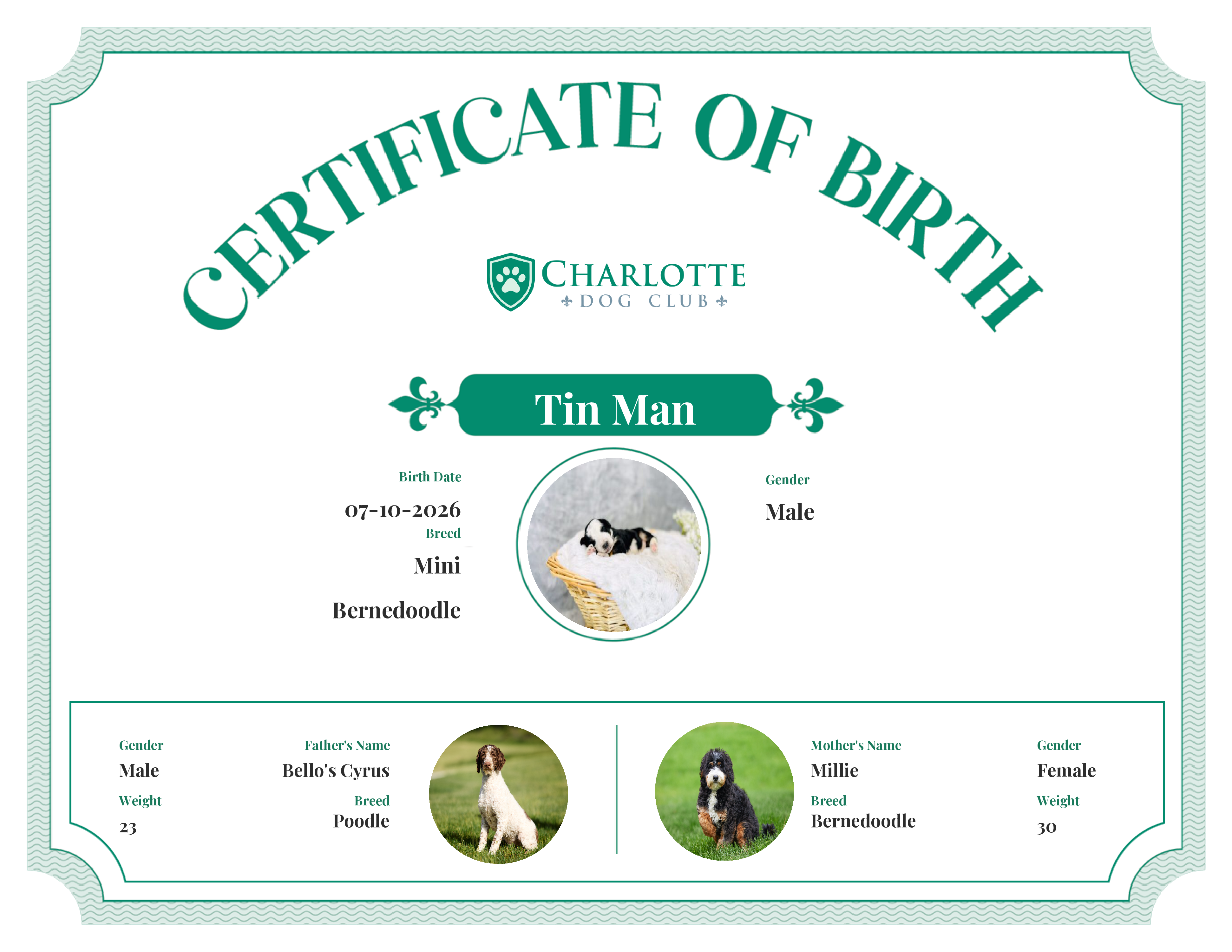 Tin Man's Birth Certificate