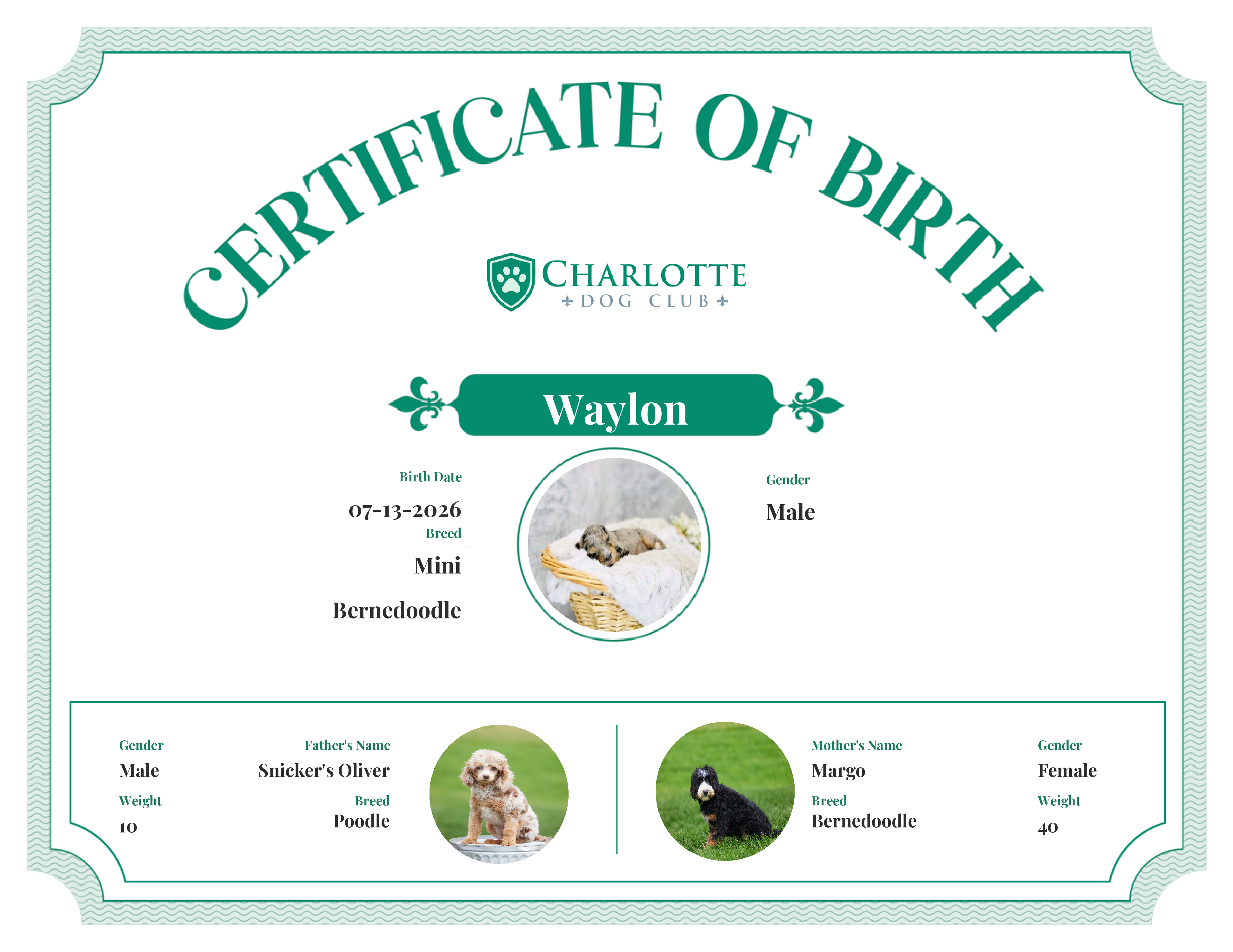 Waylon's Birth Certificate