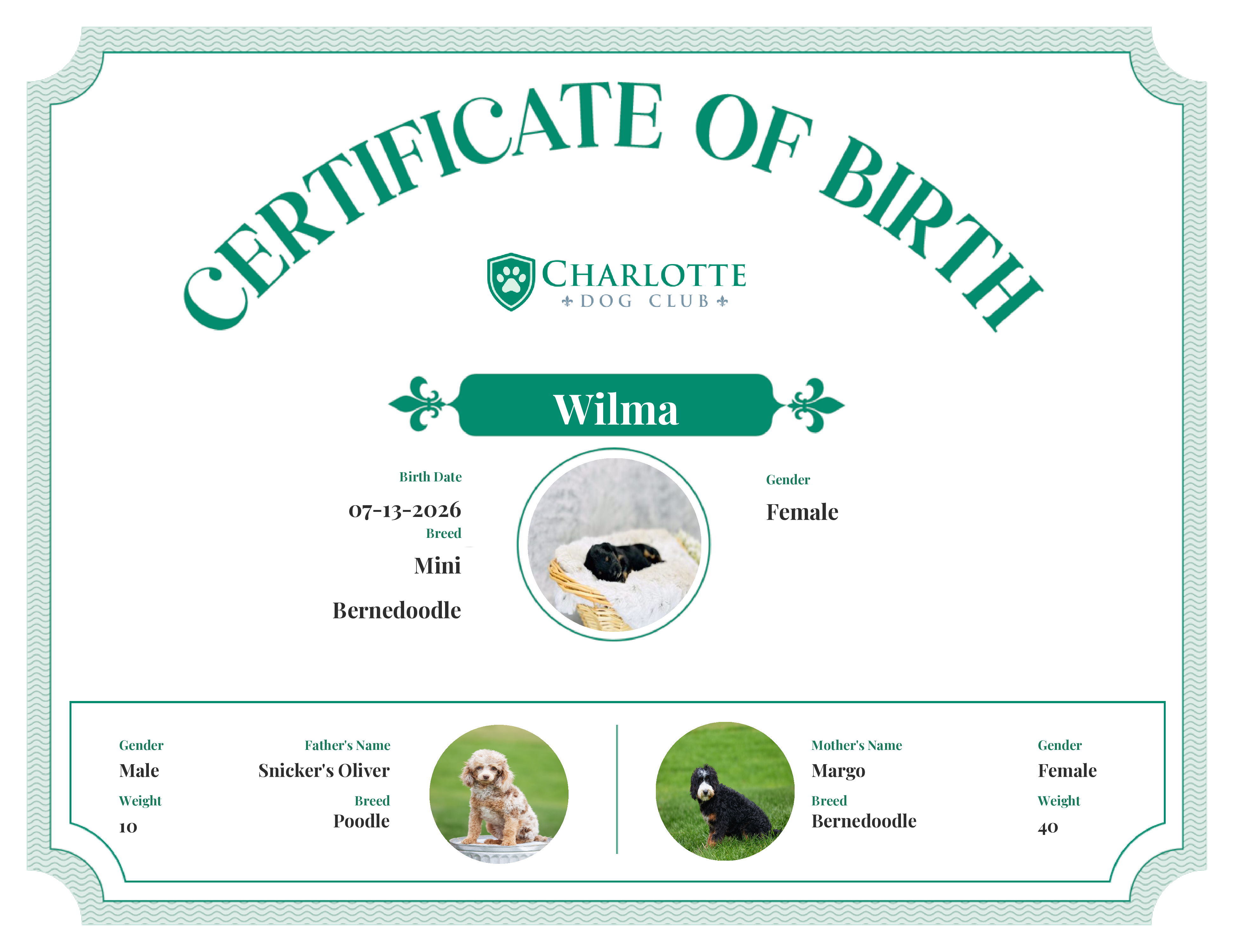 Wilma's Birth Certificate