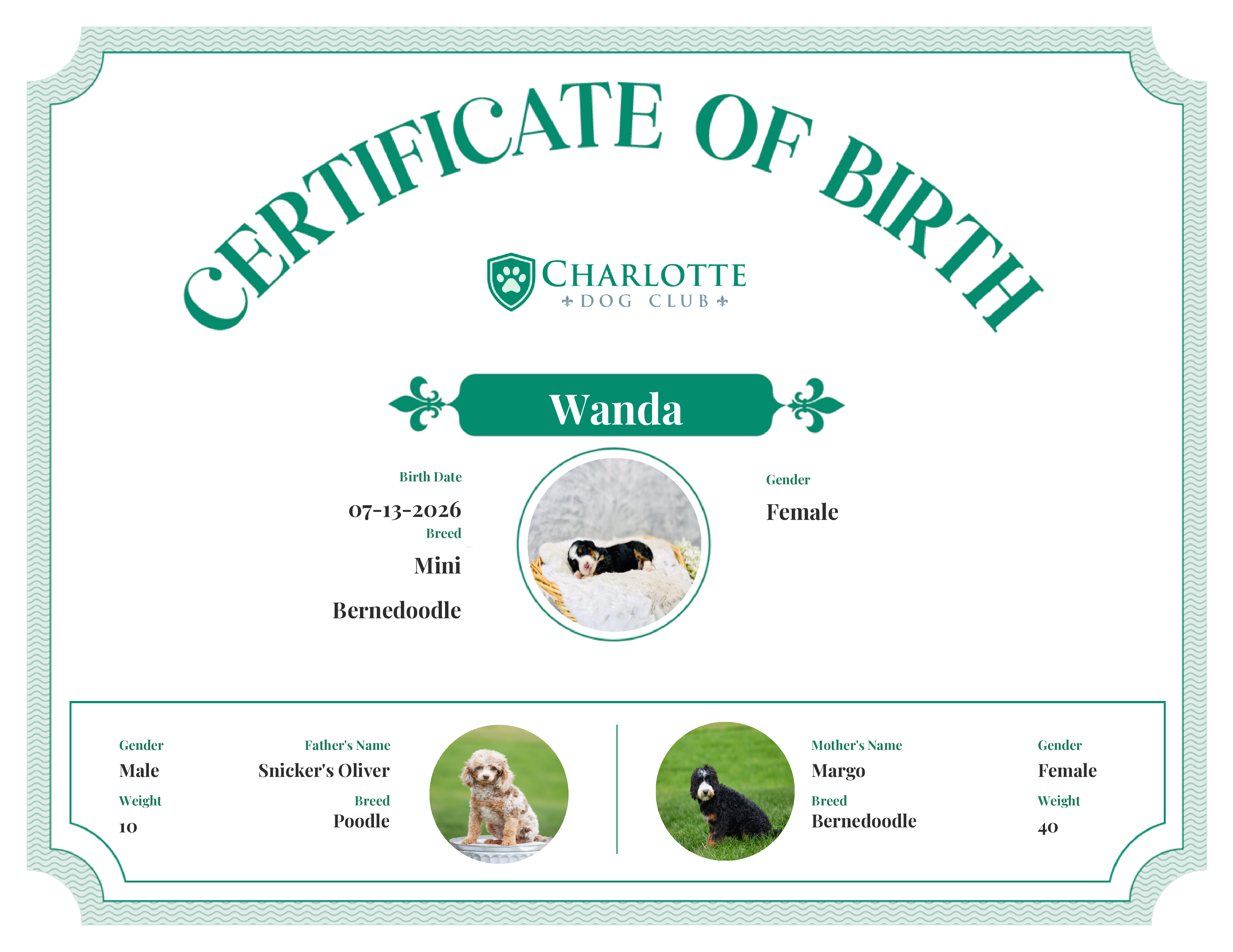 Wanda's Birth Certificate