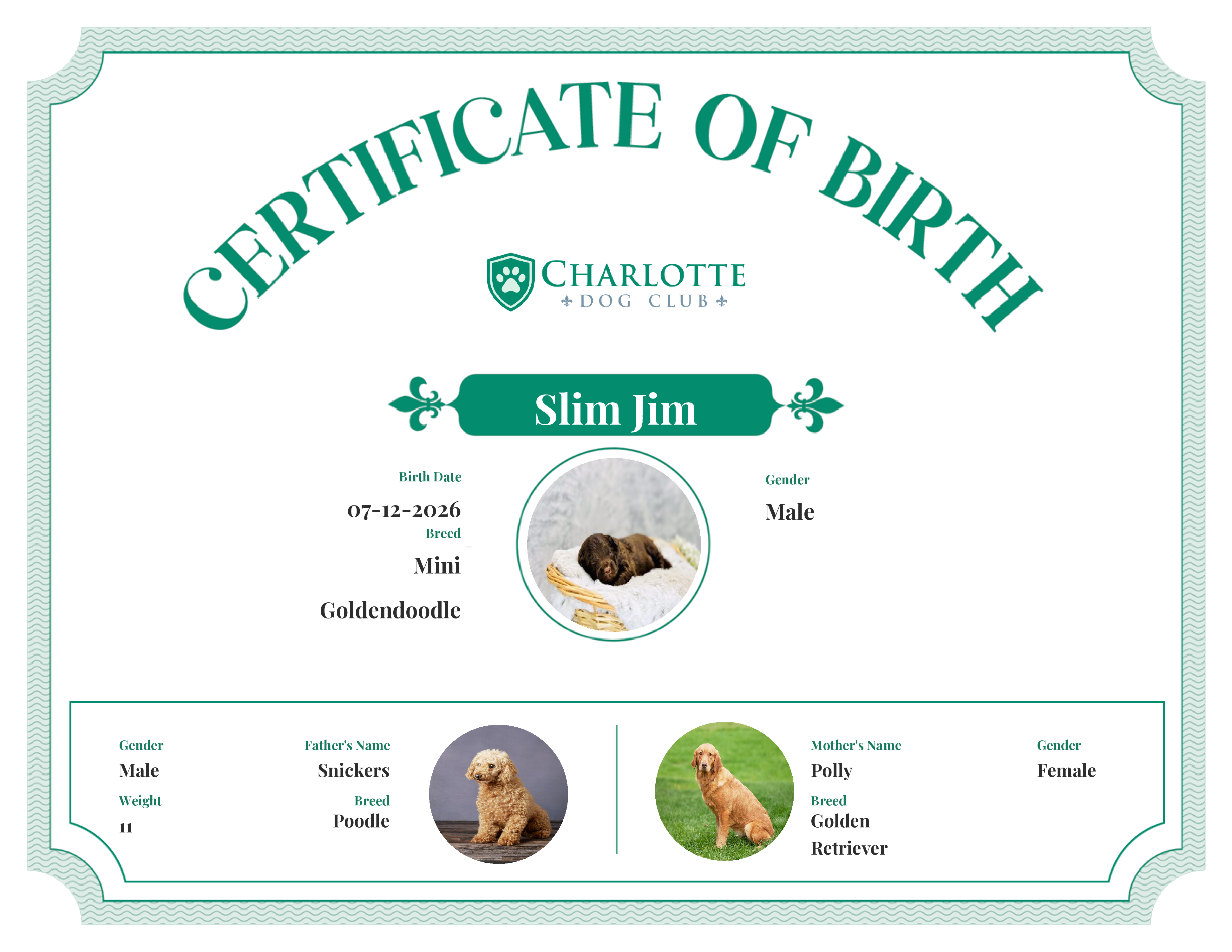 Slim Jim's Birth Certificate