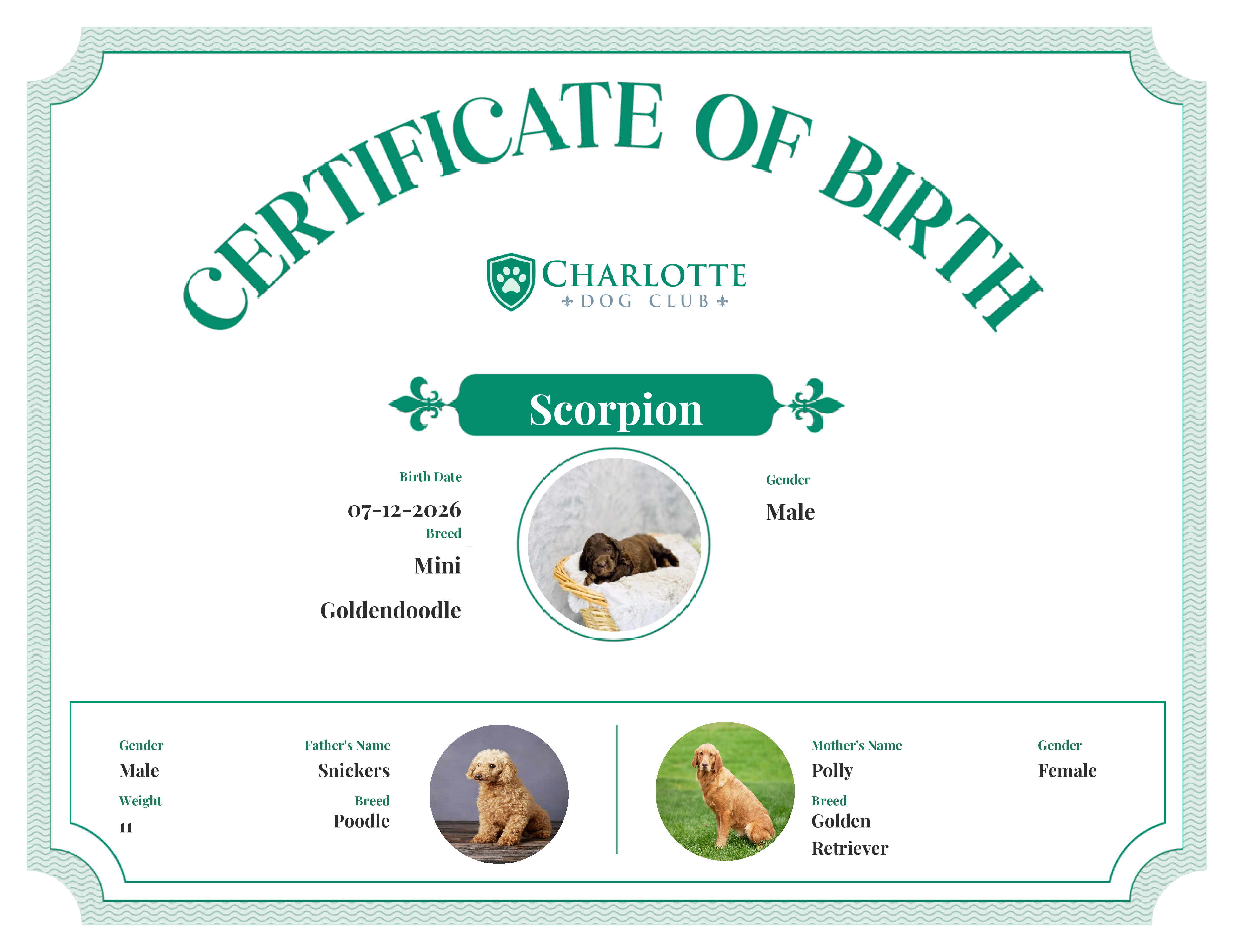 Scorpion's Birth Certificate