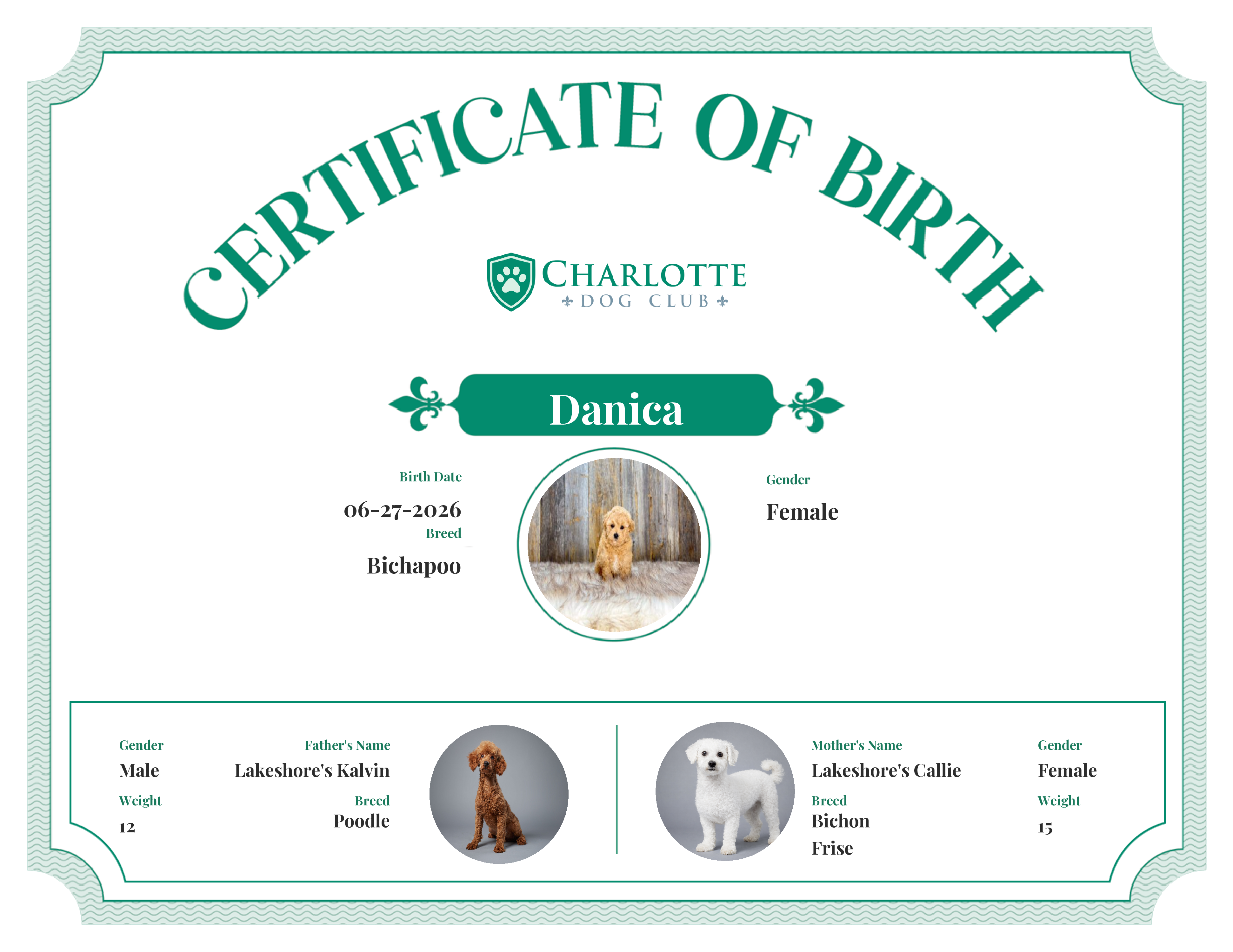Danica's Birth Certificate