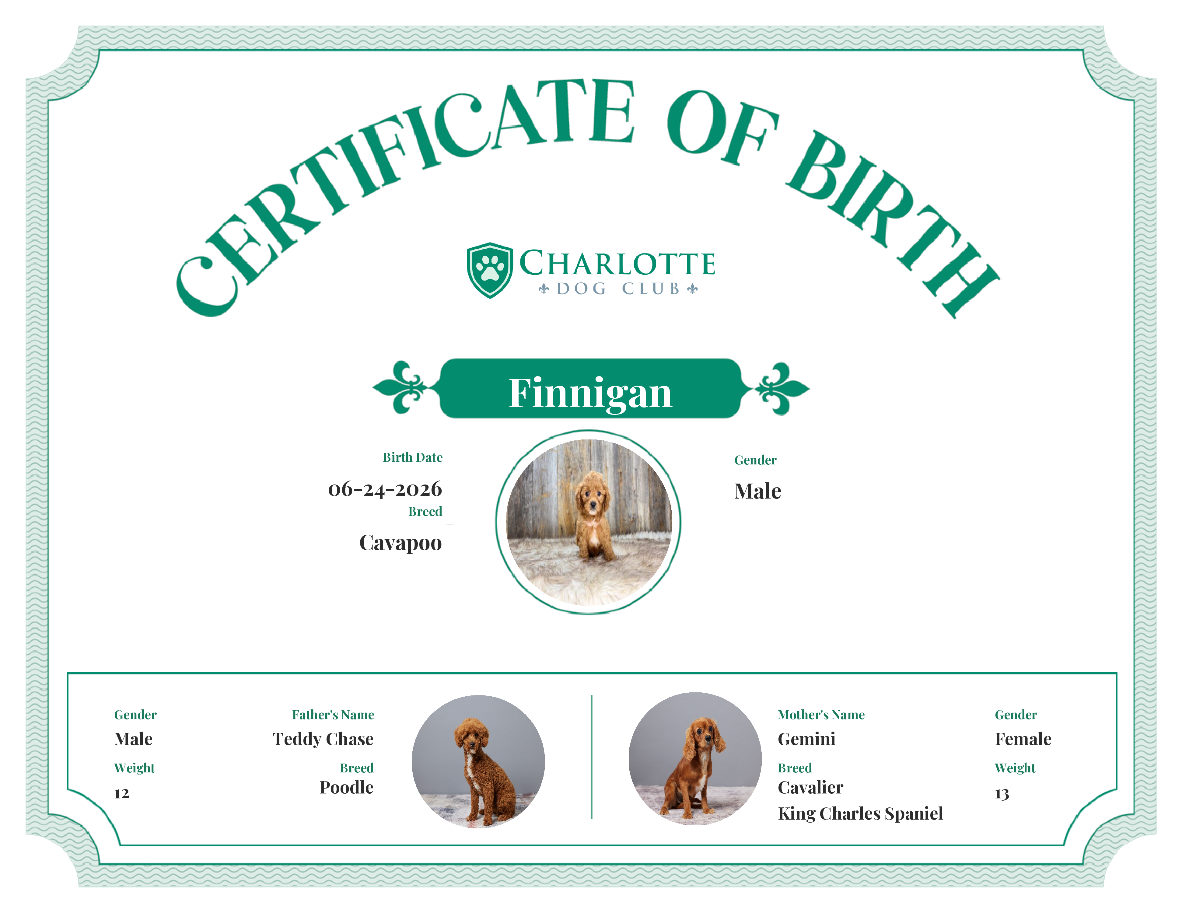 Finnigan's Birth Certificate