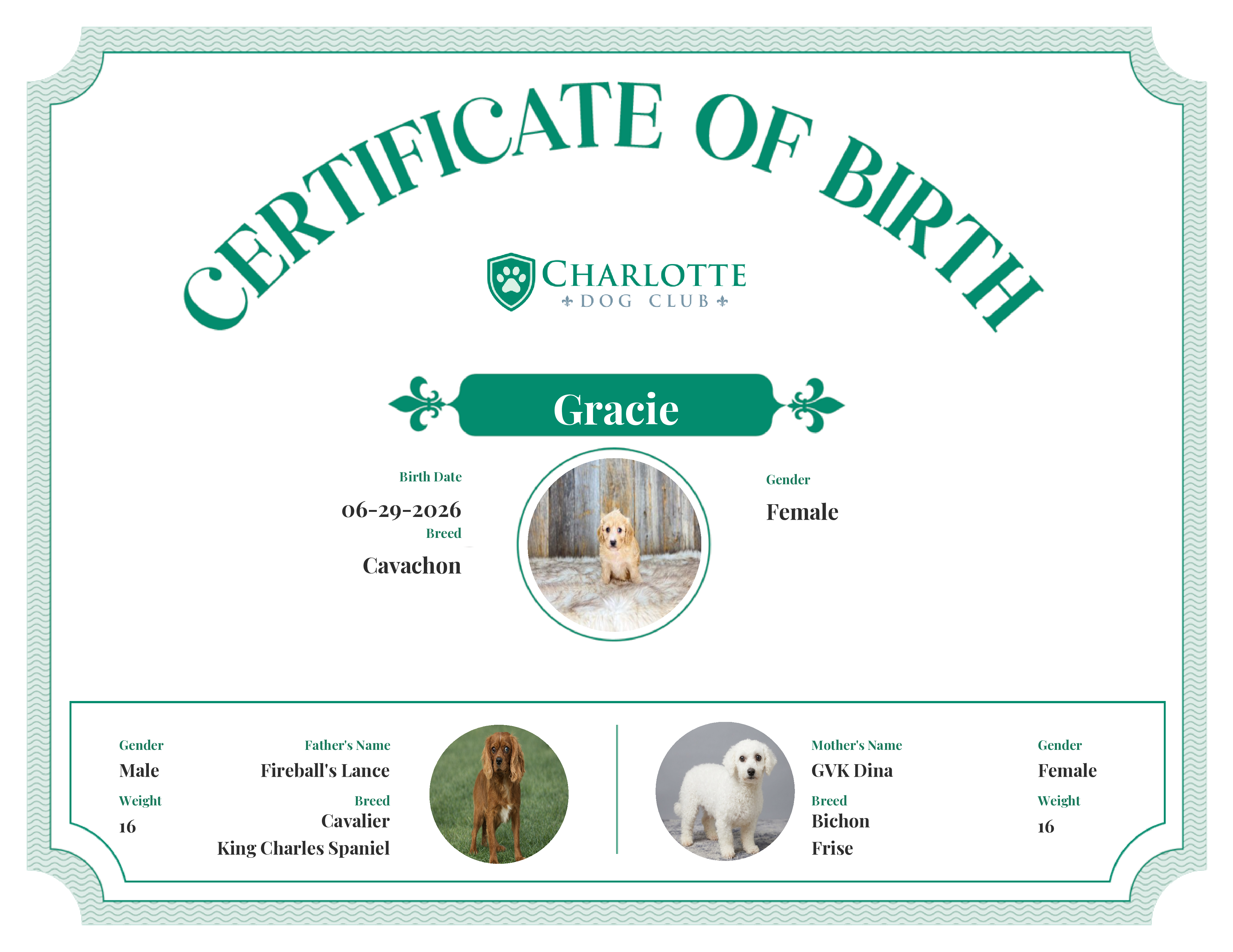 Gracie's Birth Certificate
