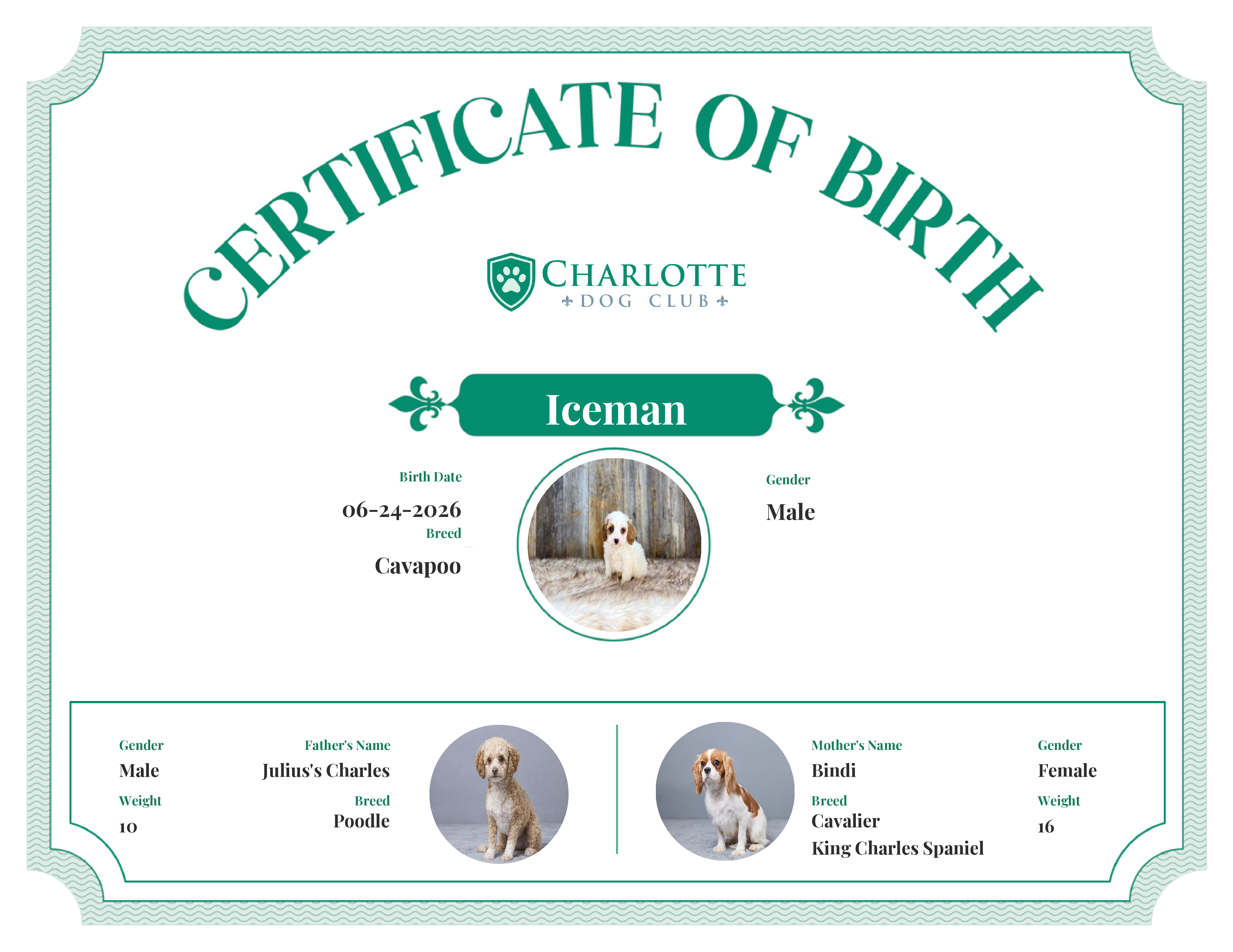 Iceman's Birth Certificate