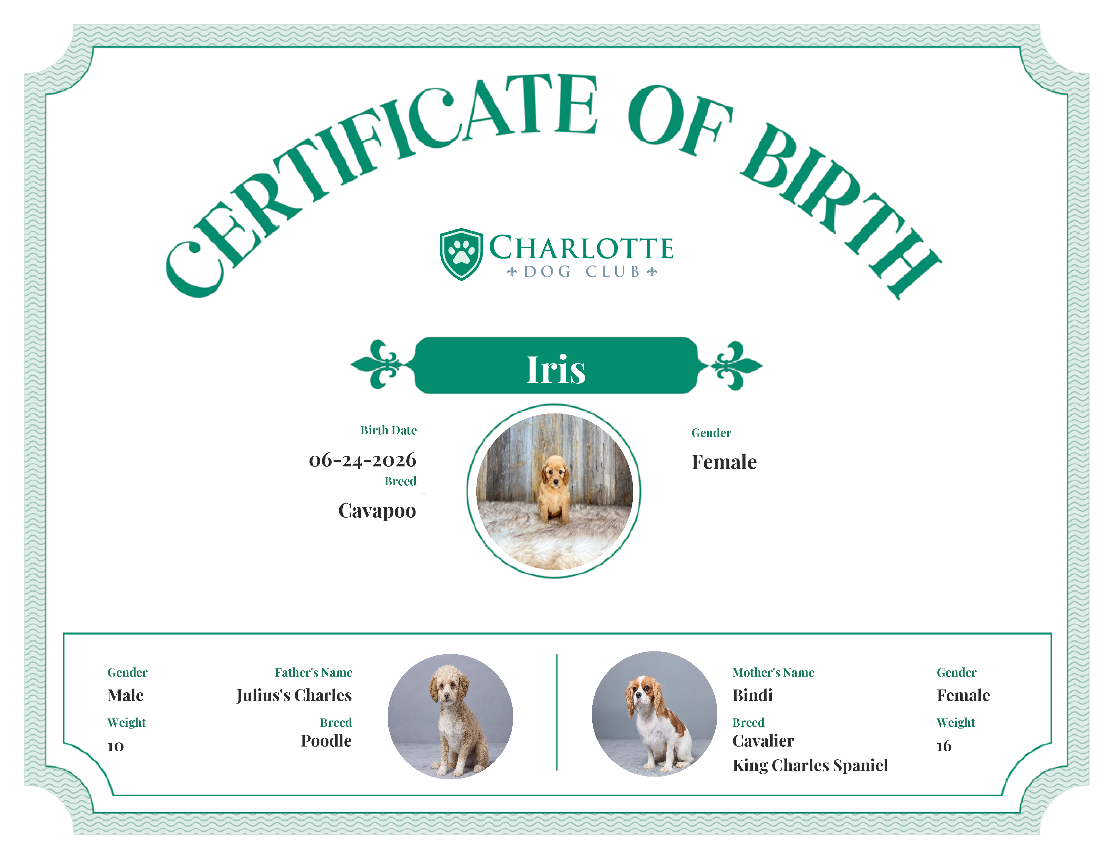 Iris's Birth Certificate