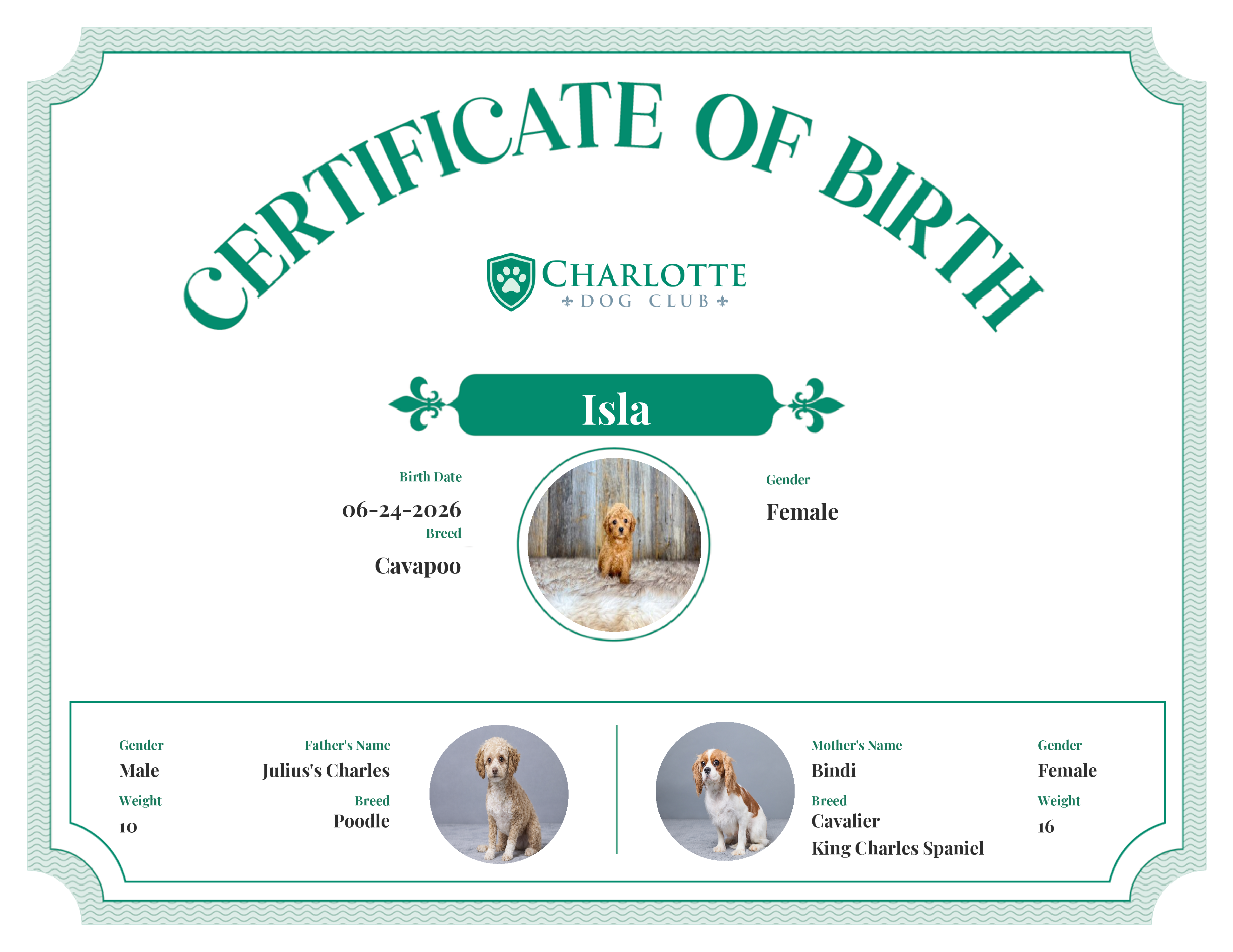 Isla's Birth Certificate