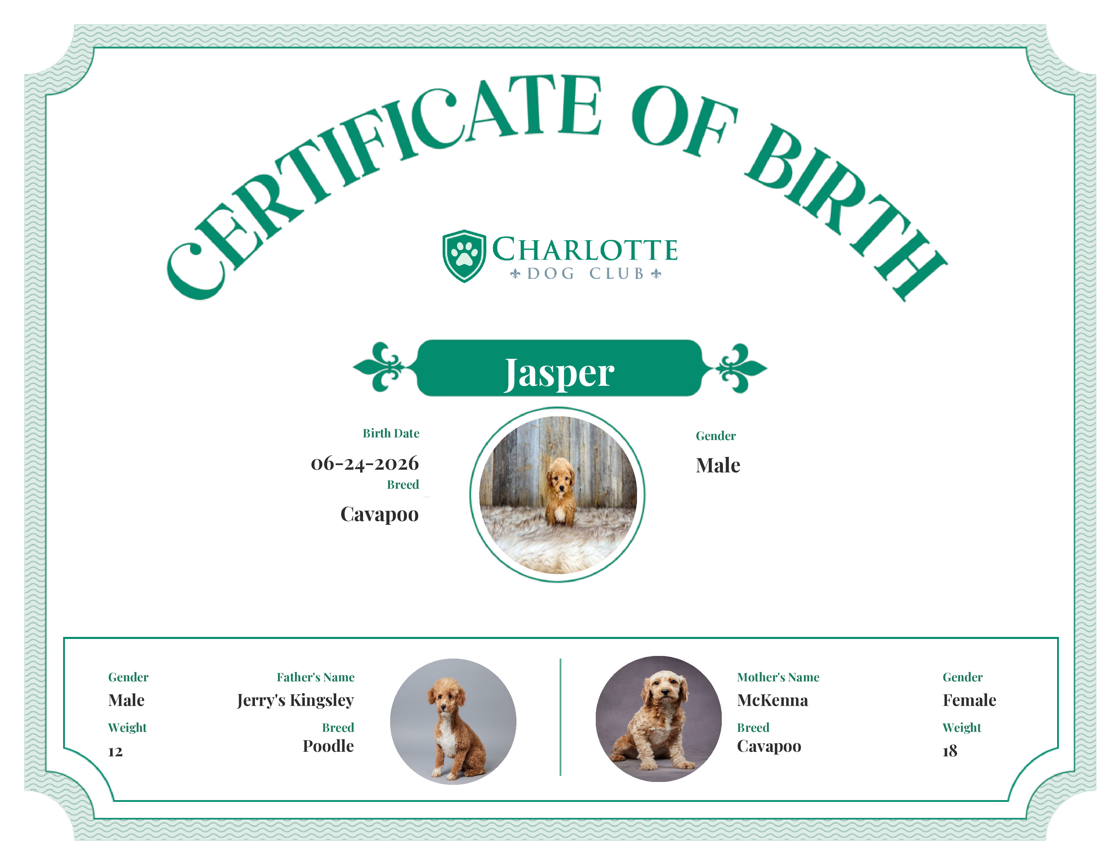Jasper's Birth Certificate
