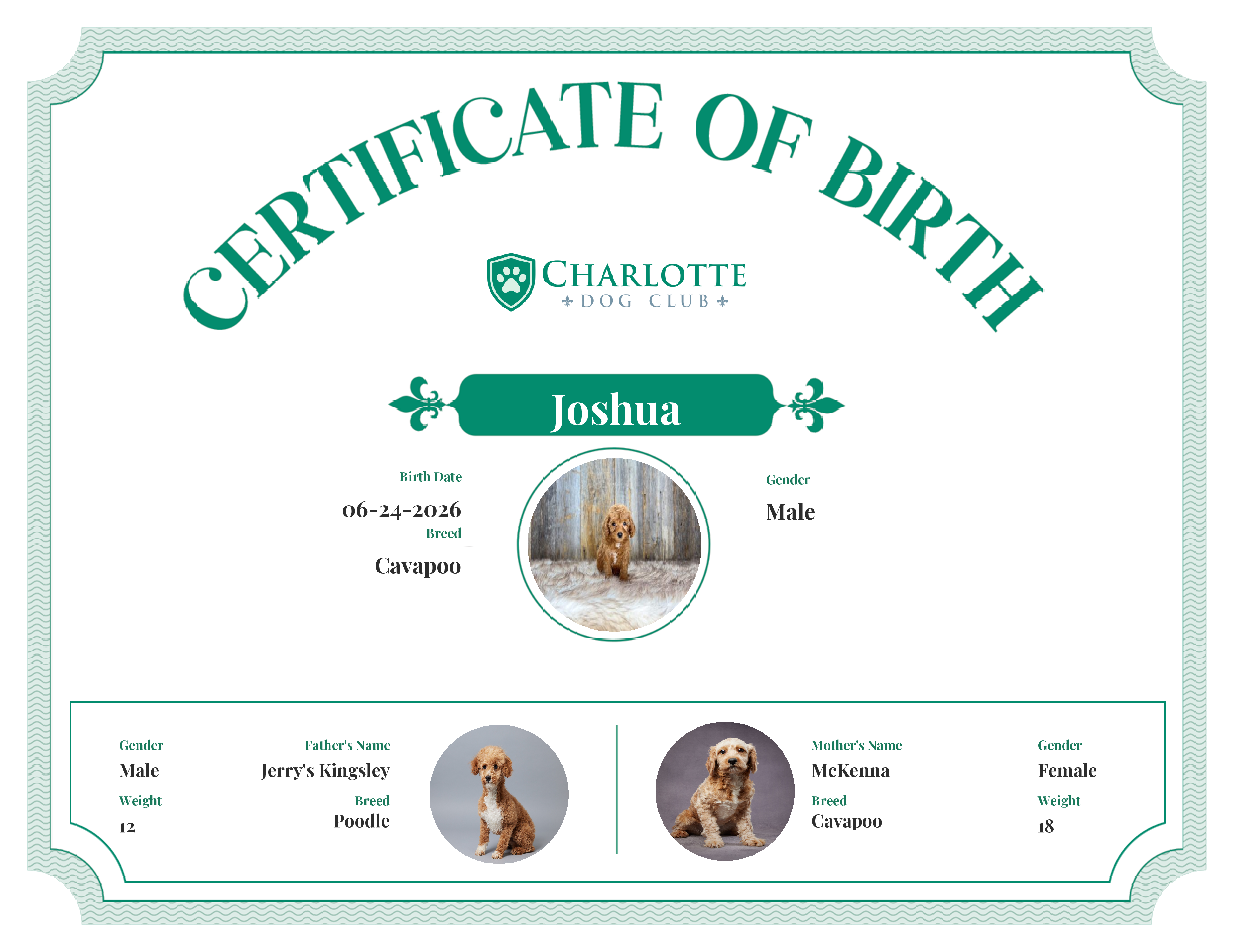 Joshua's Birth Certificate