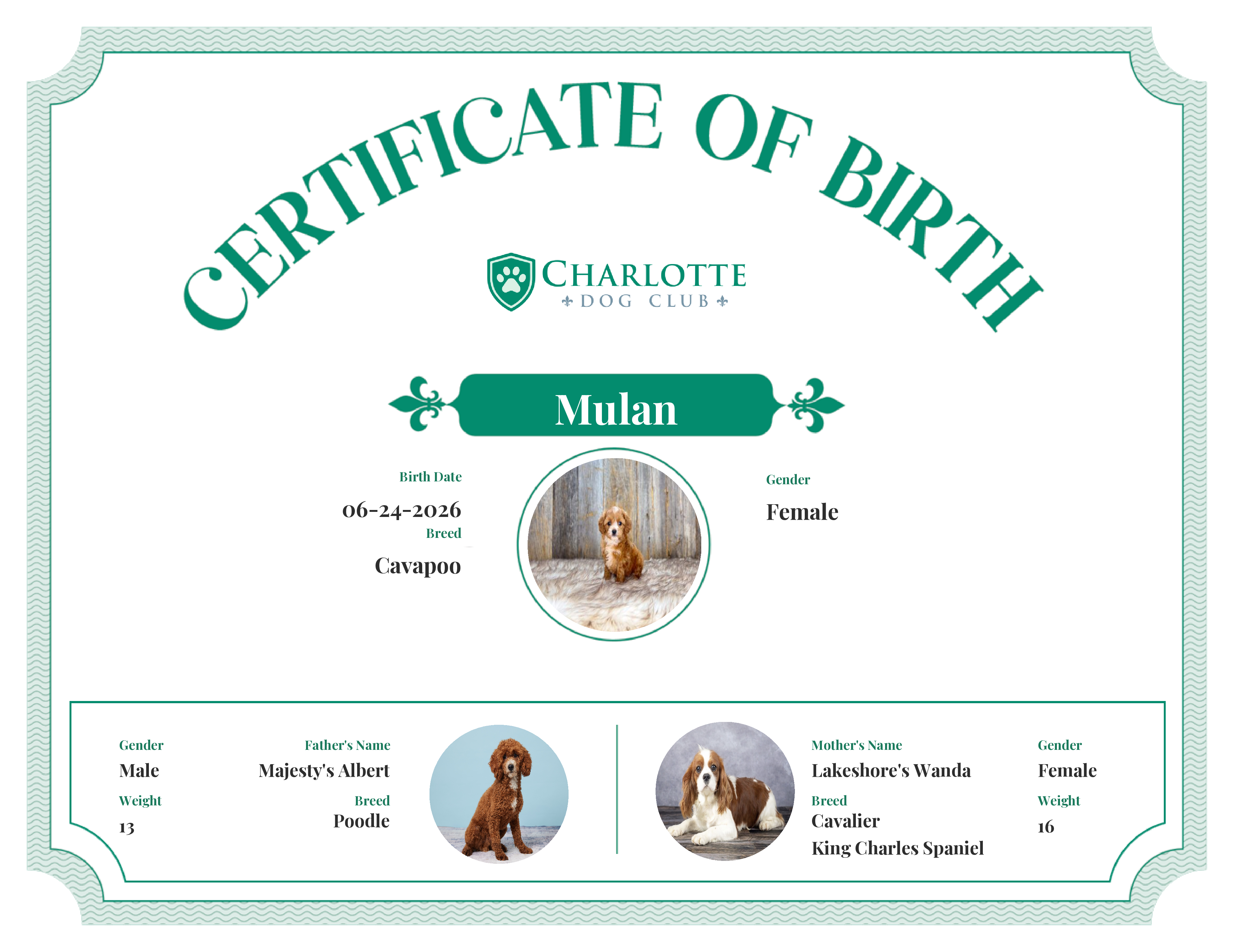 Mulan's Birth Certificate