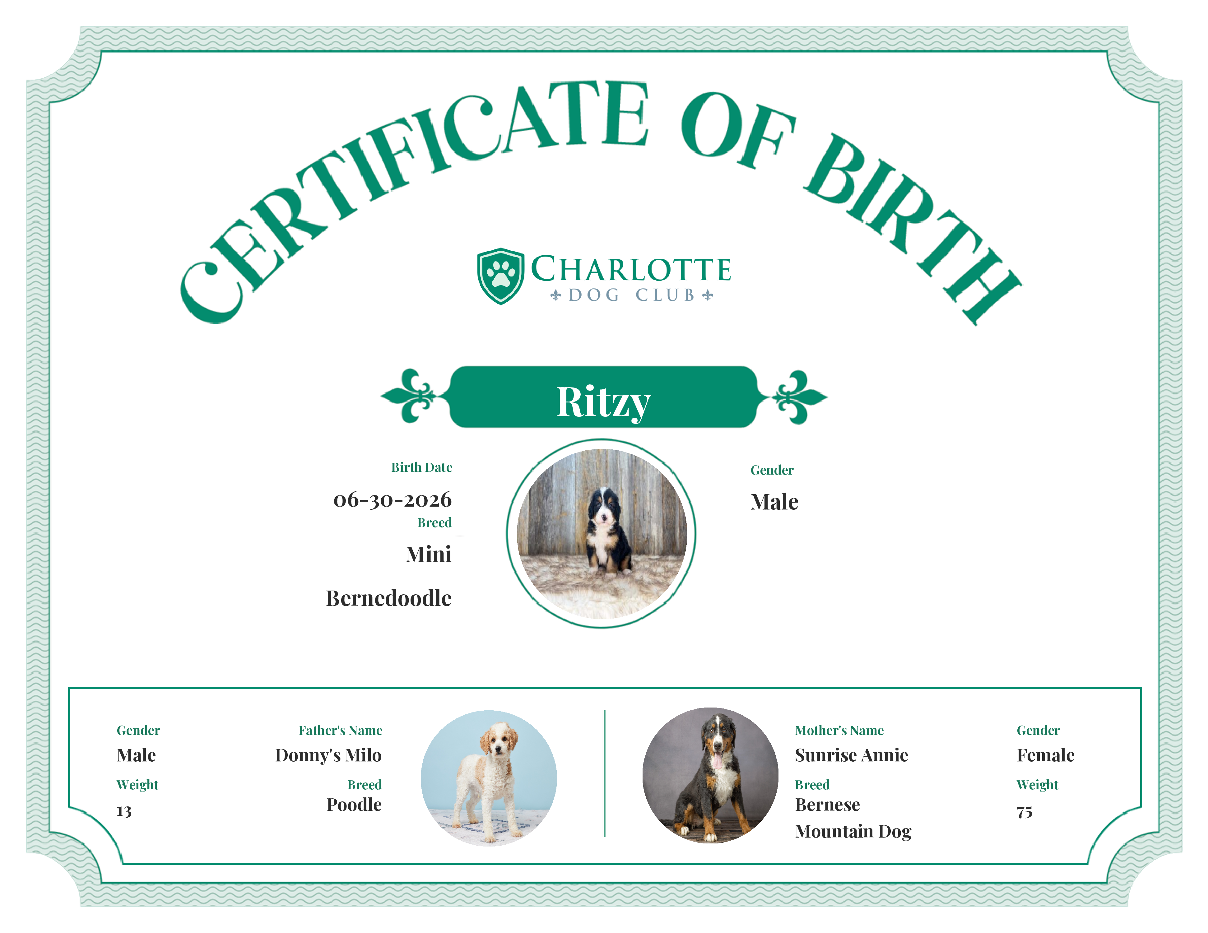 Ritzy's Birth Certificate