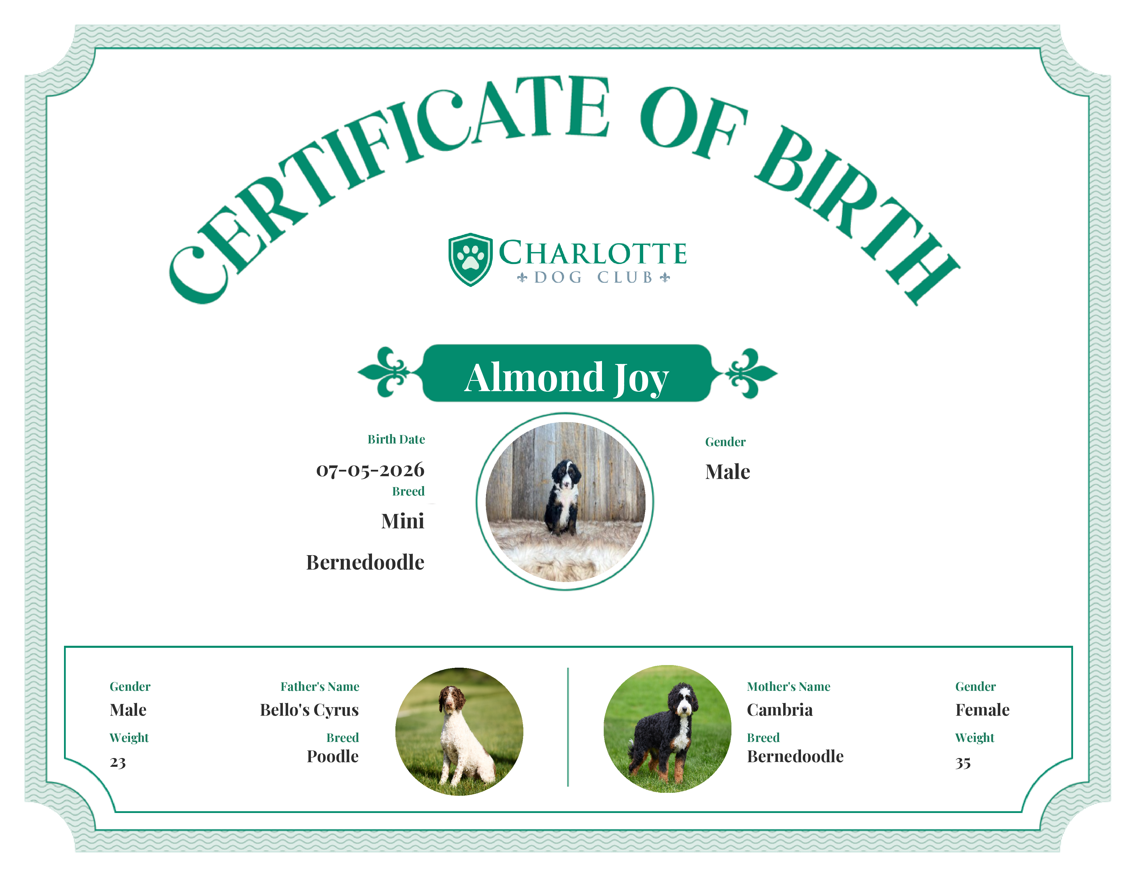 Almond Joy's Birth Certificate