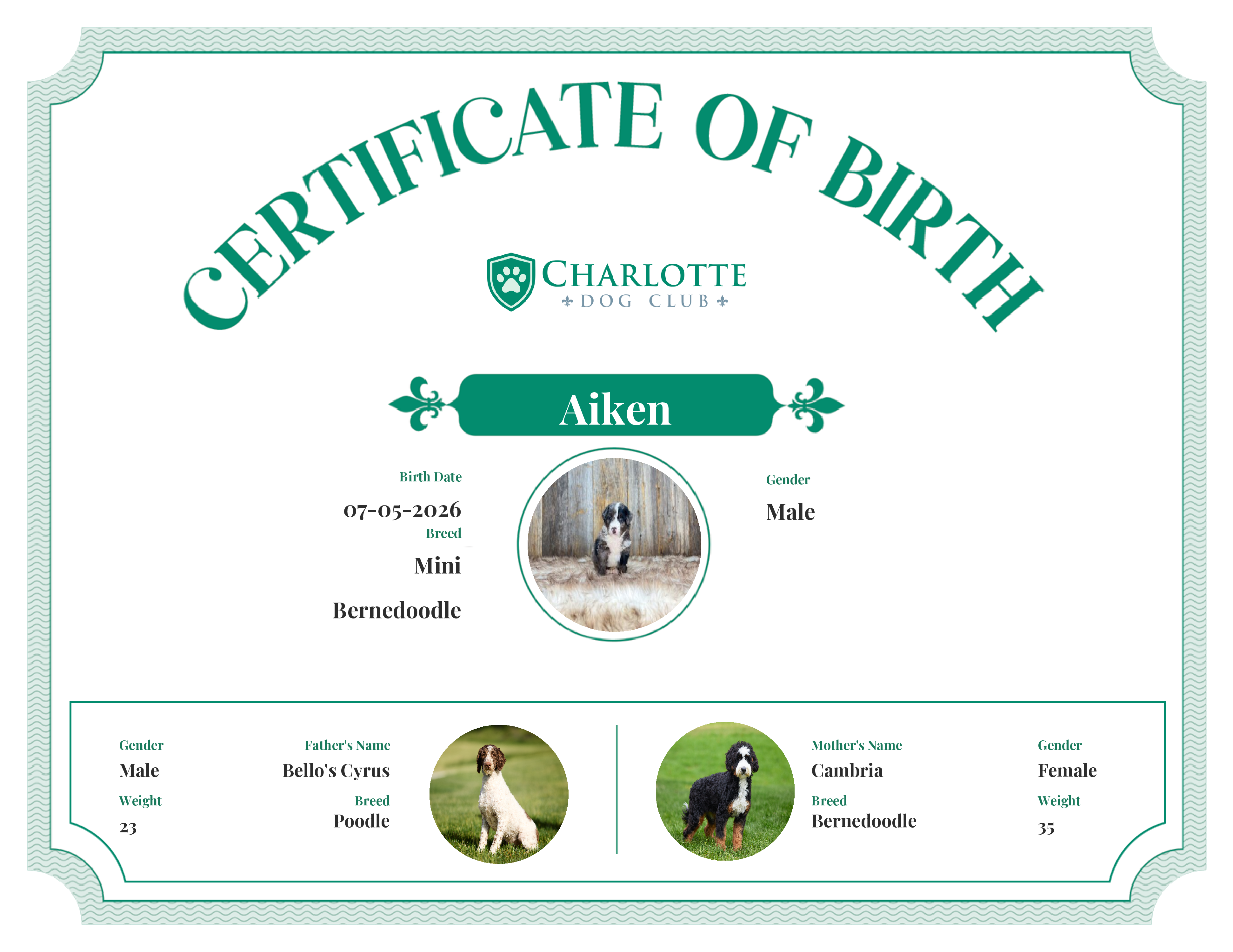 Aiken's Birth Certificate