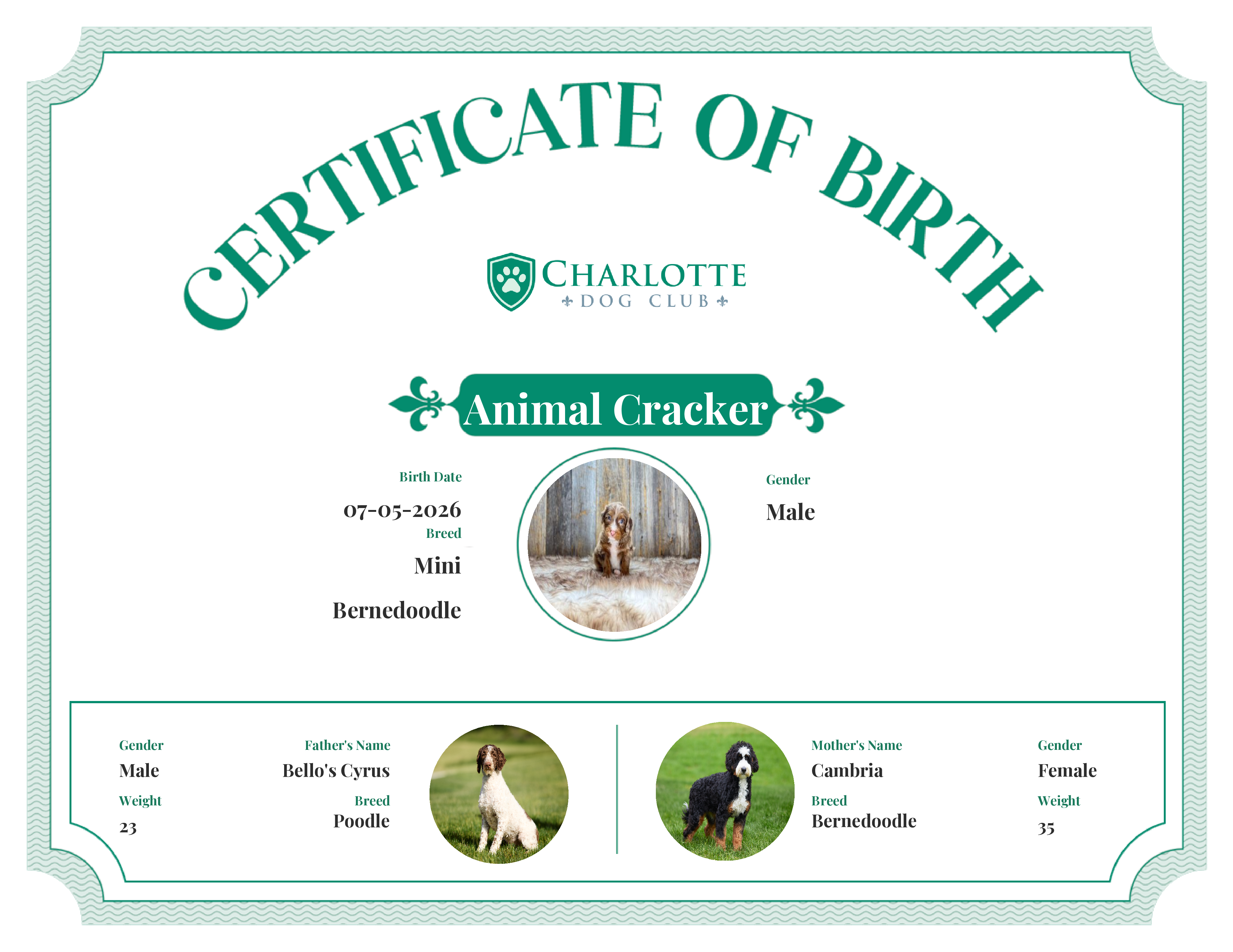 Animal Cracker's Birth Certificate