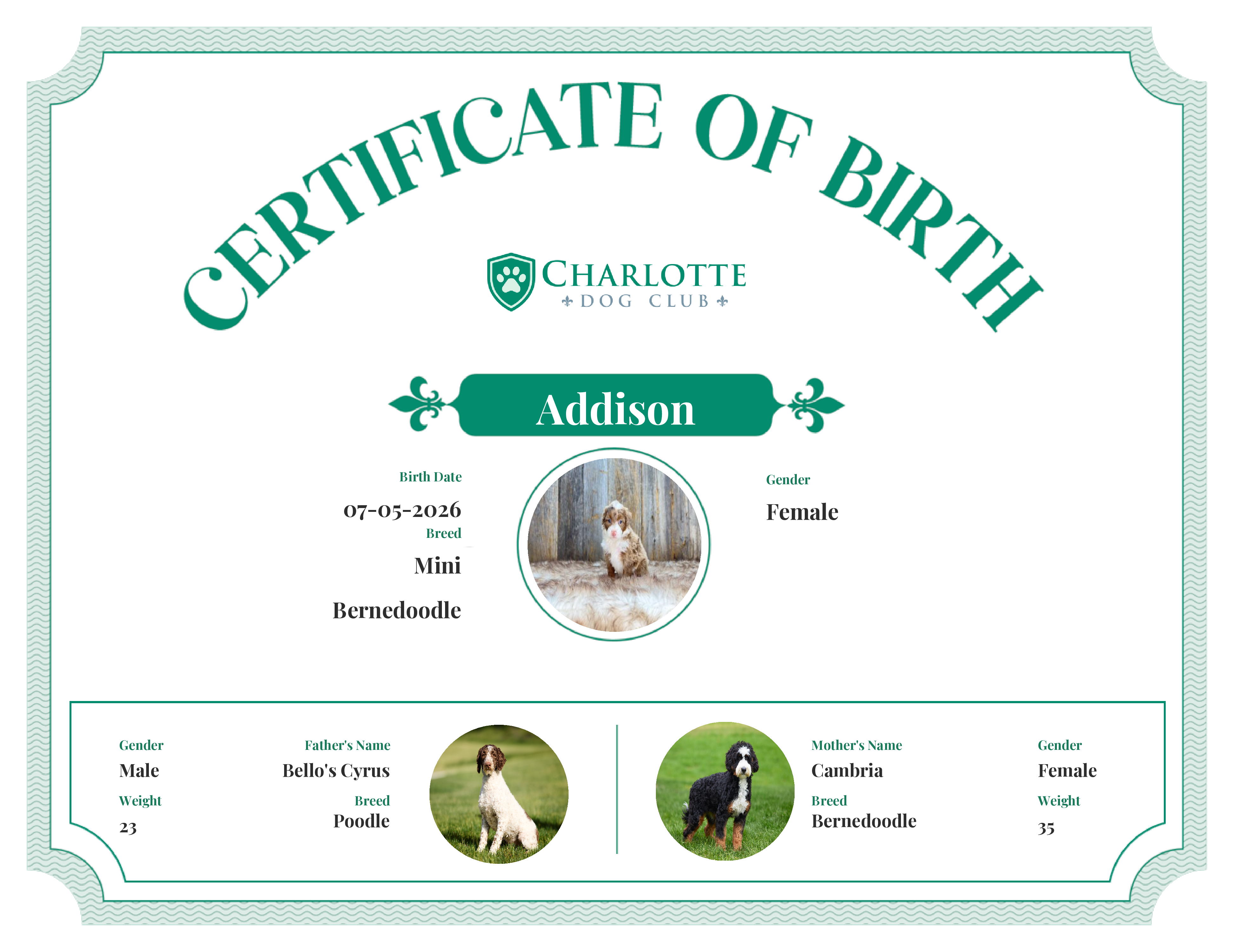 Addison's Birth Certificate