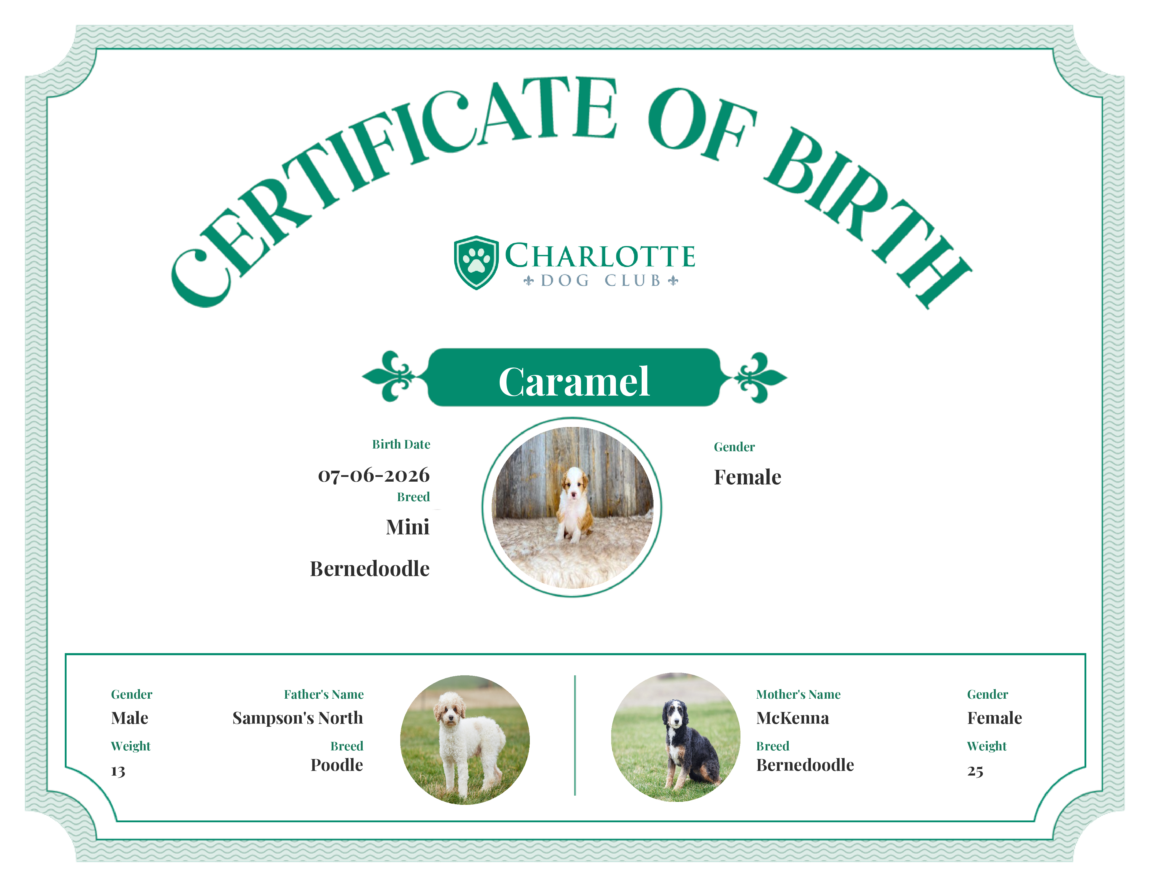 Caramel's Birth Certificate