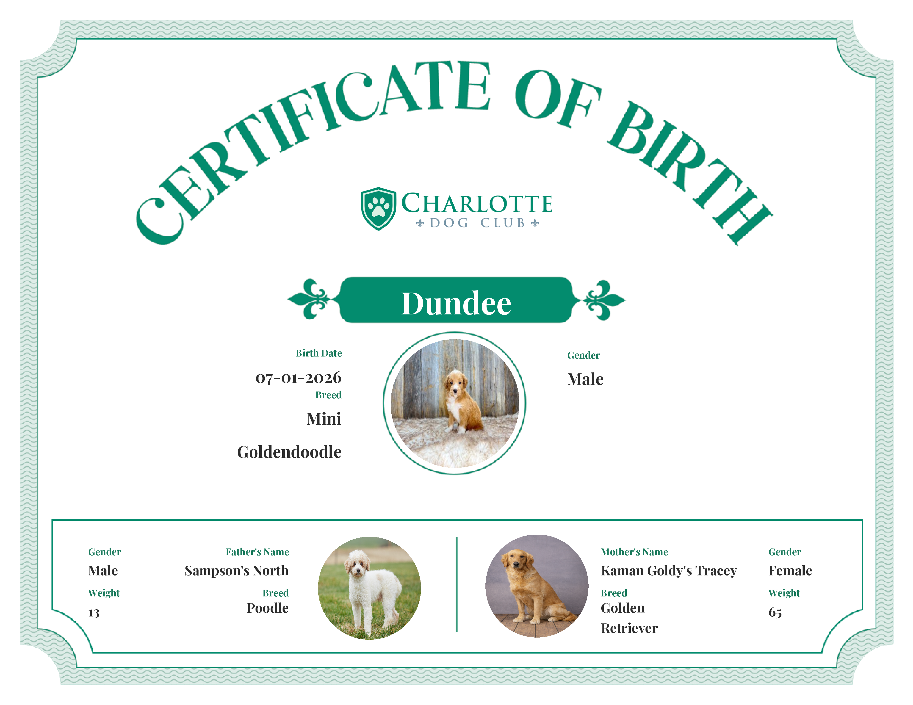 Dundee's Birth Certificate