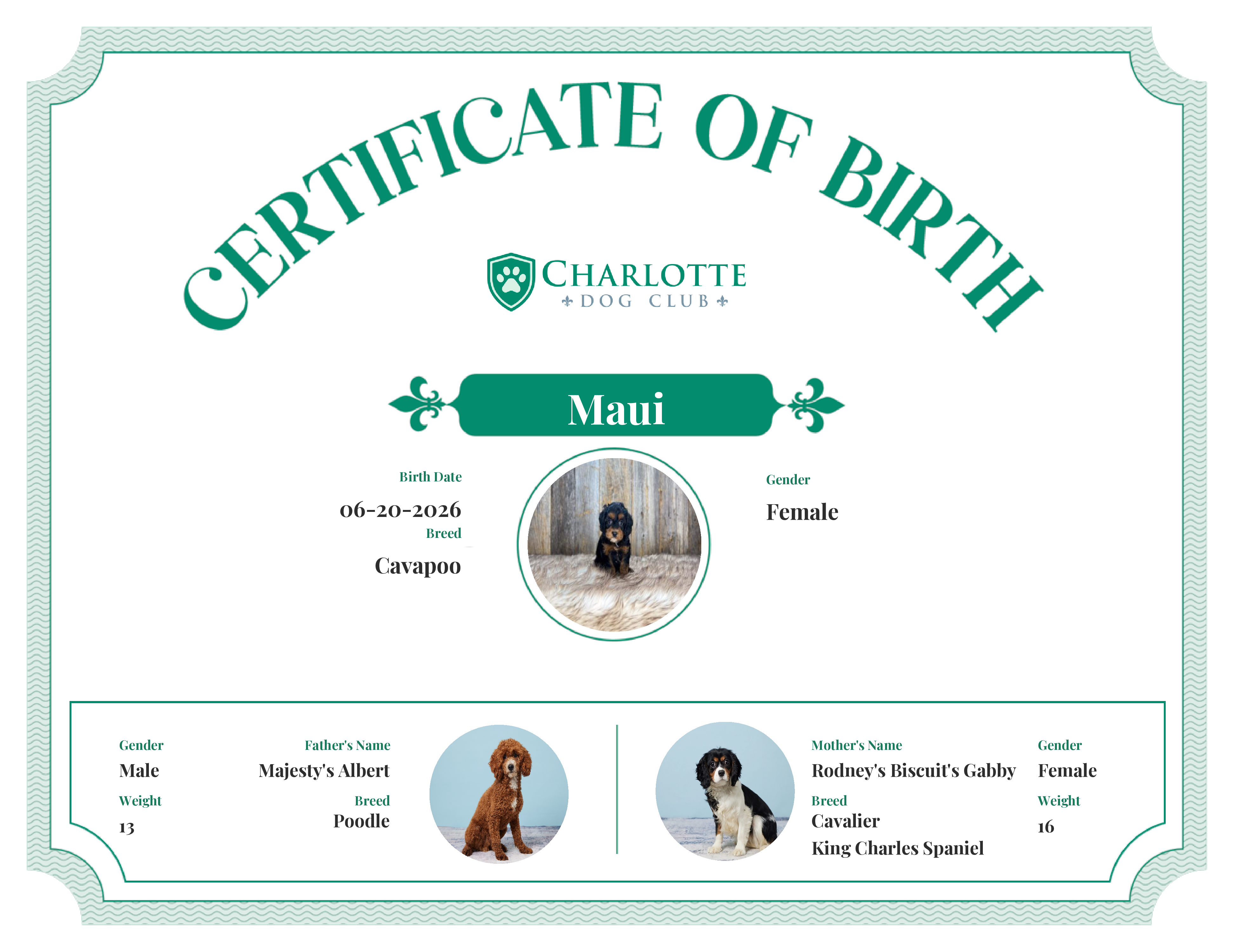 Maui's Birth Certificate