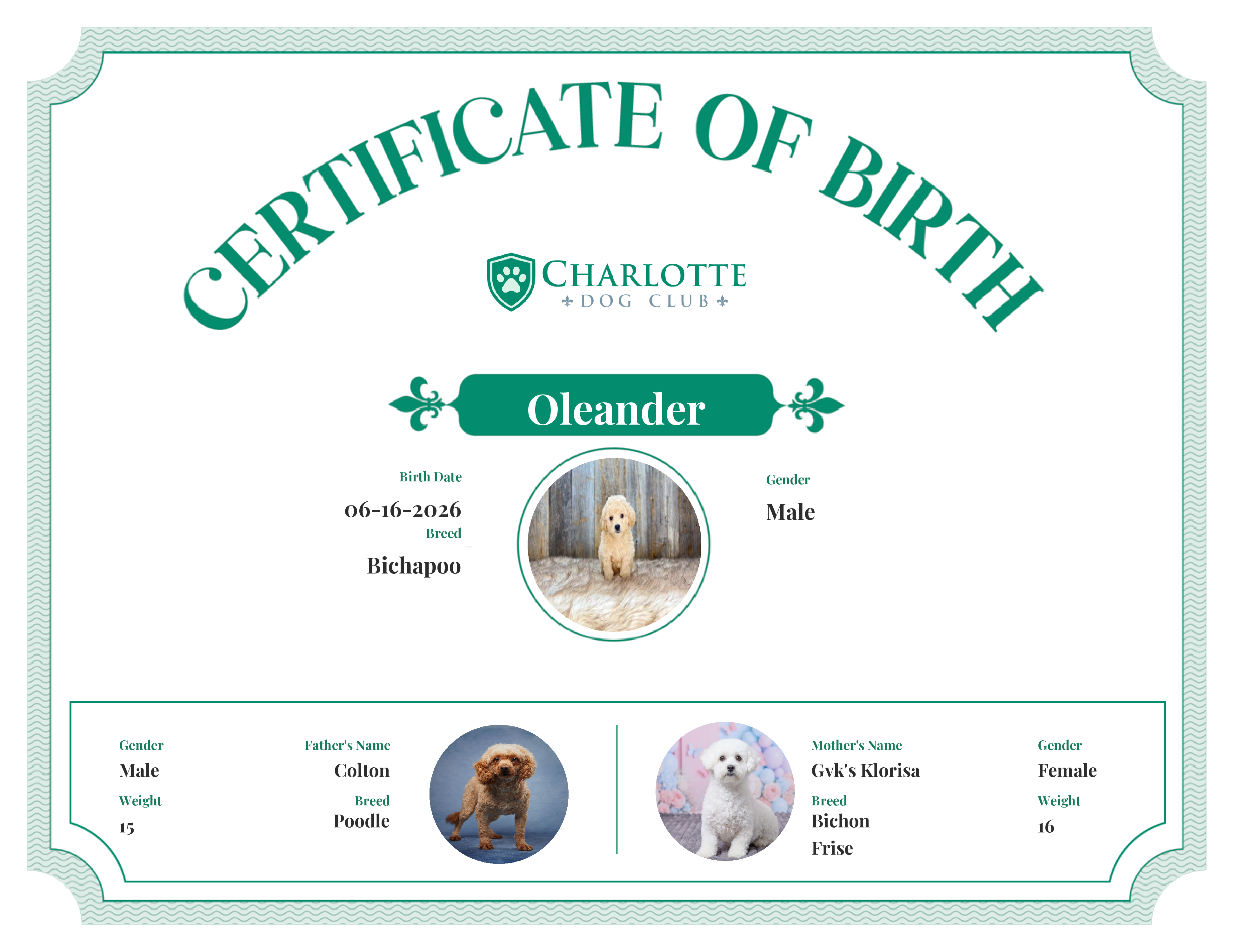 Oleander's Birth Certificate