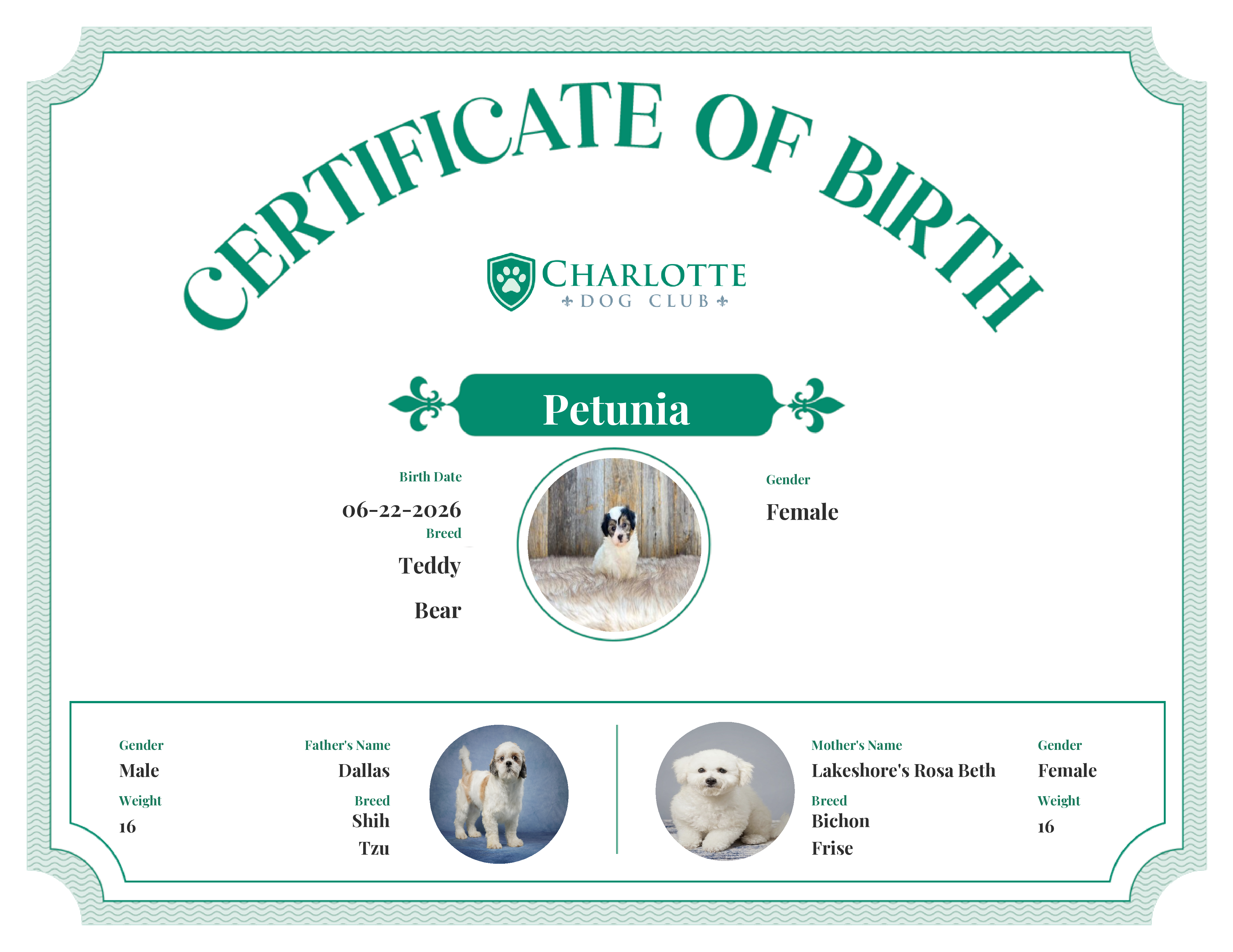 Petunia's Birth Certificate