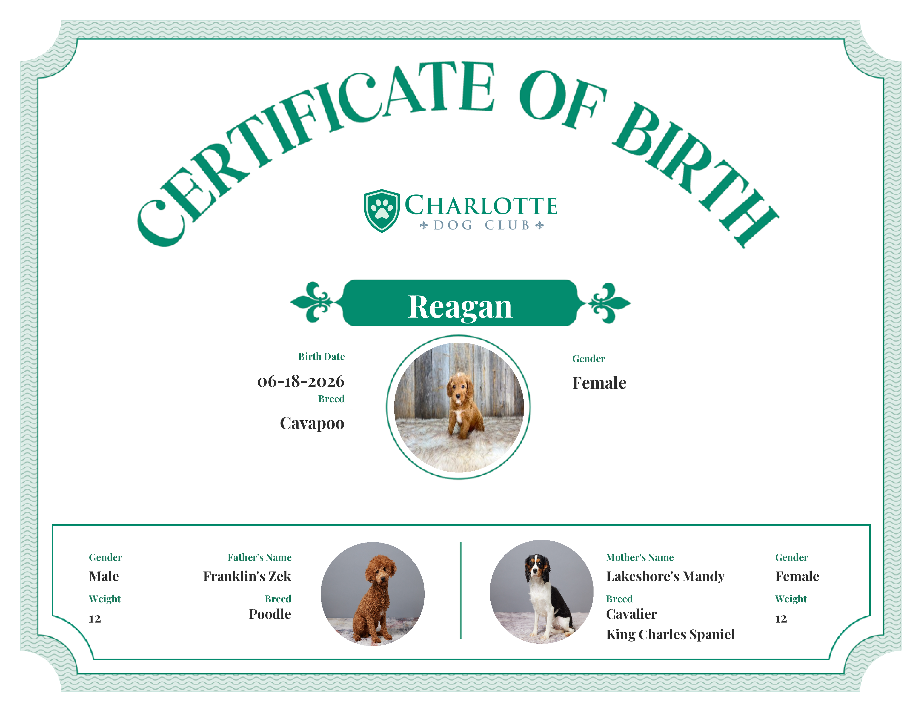 Reagan's Birth Certificate