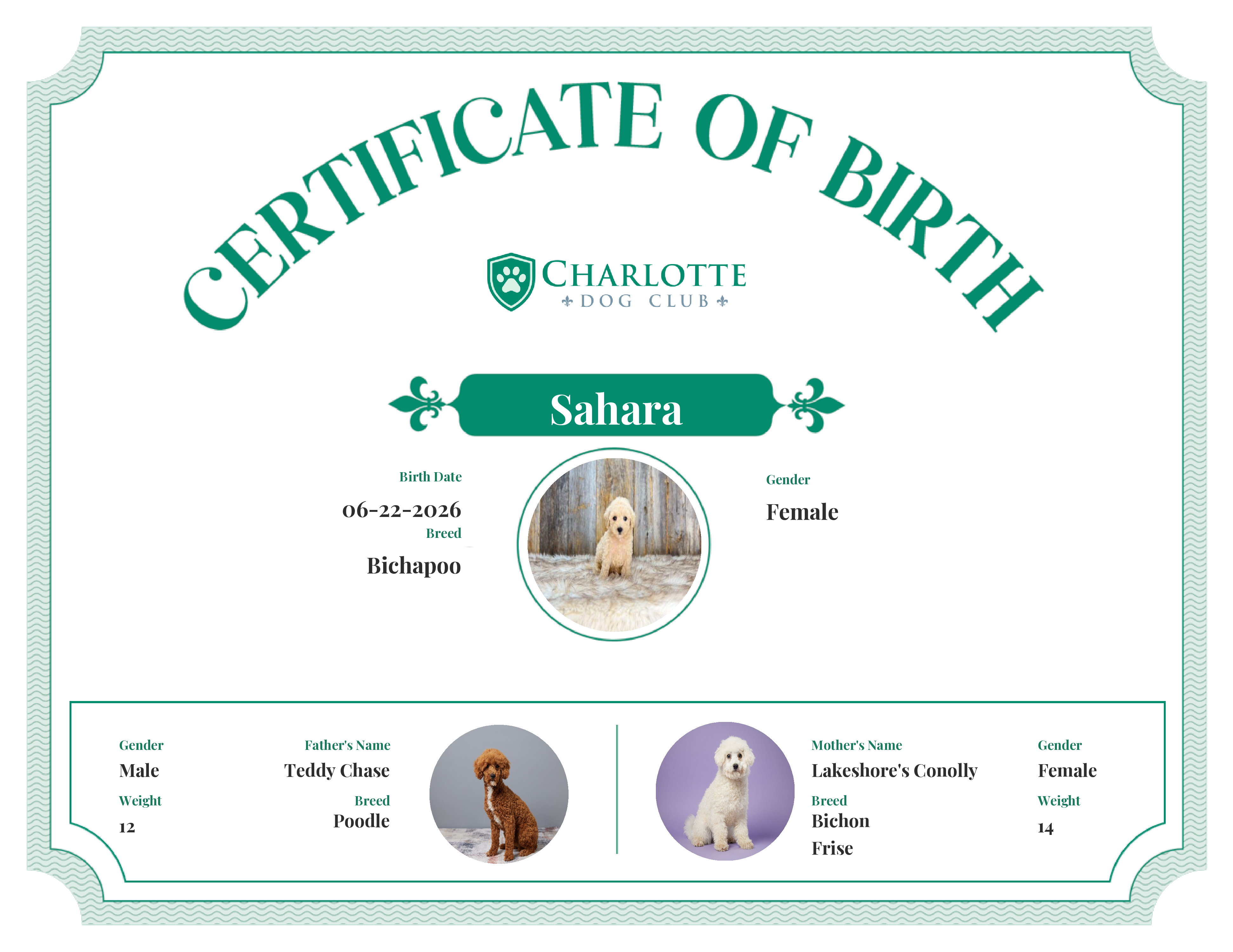 Sahara's Birth Certificate