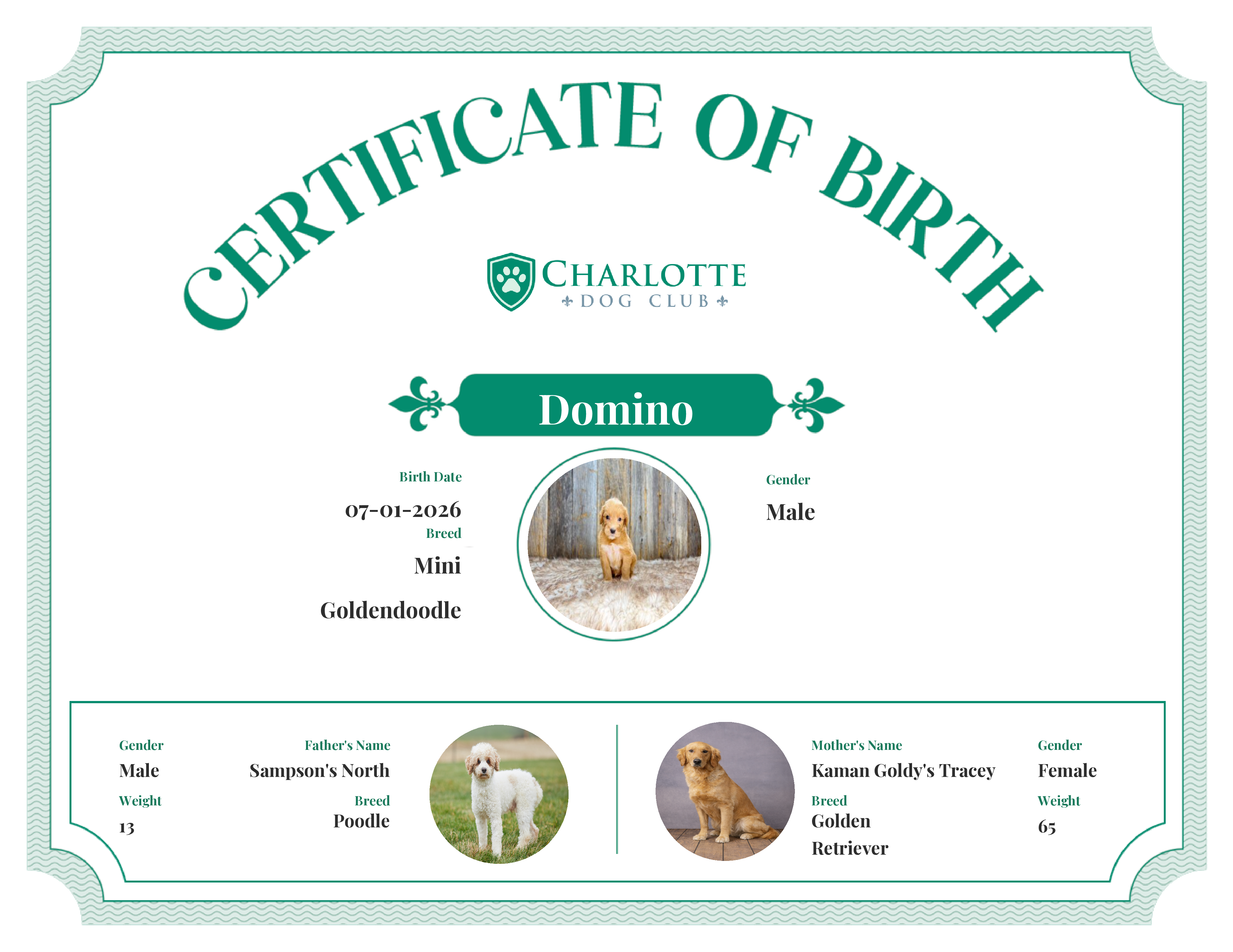 Domino's Birth Certificate