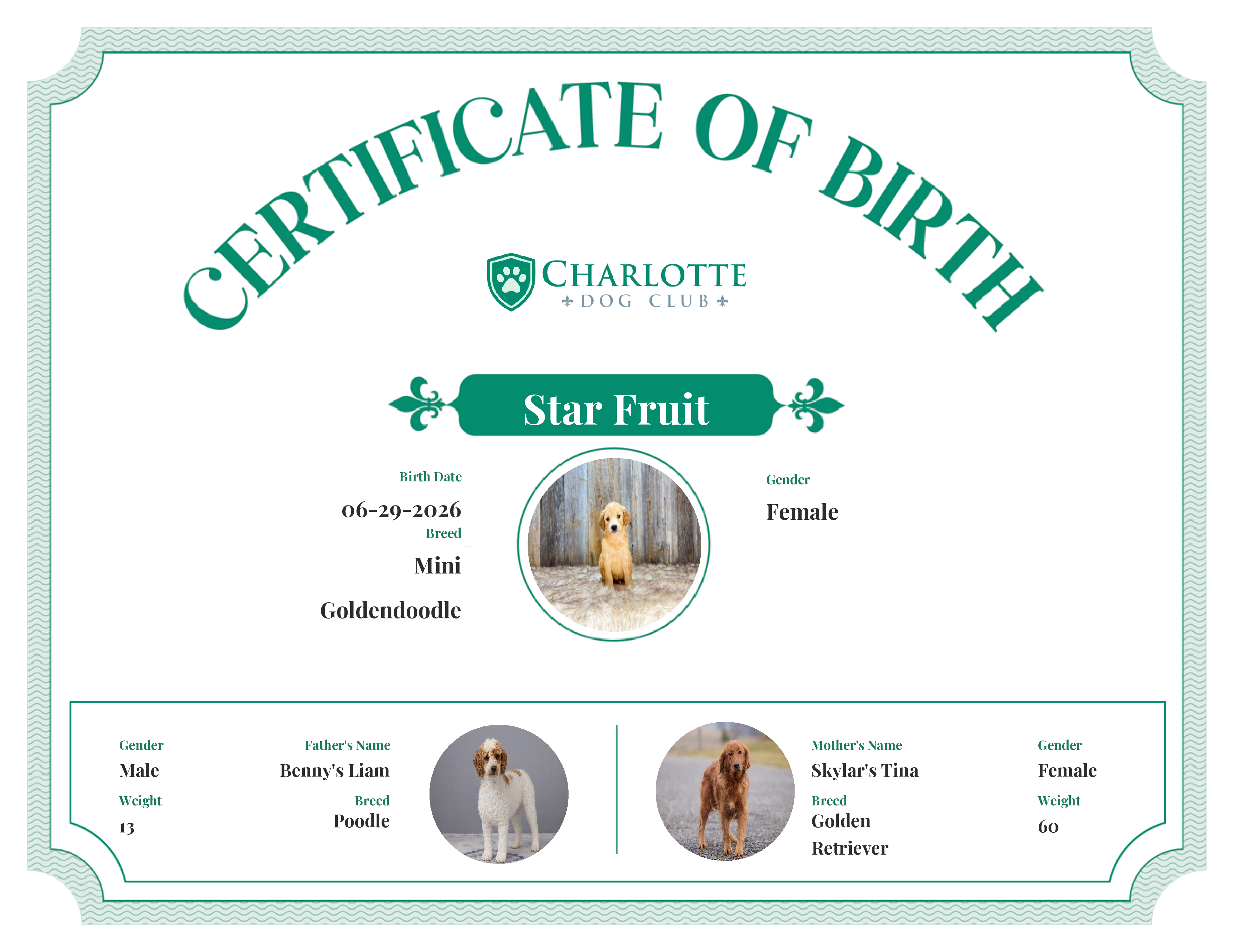 Star Fruit's Birth Certificate
