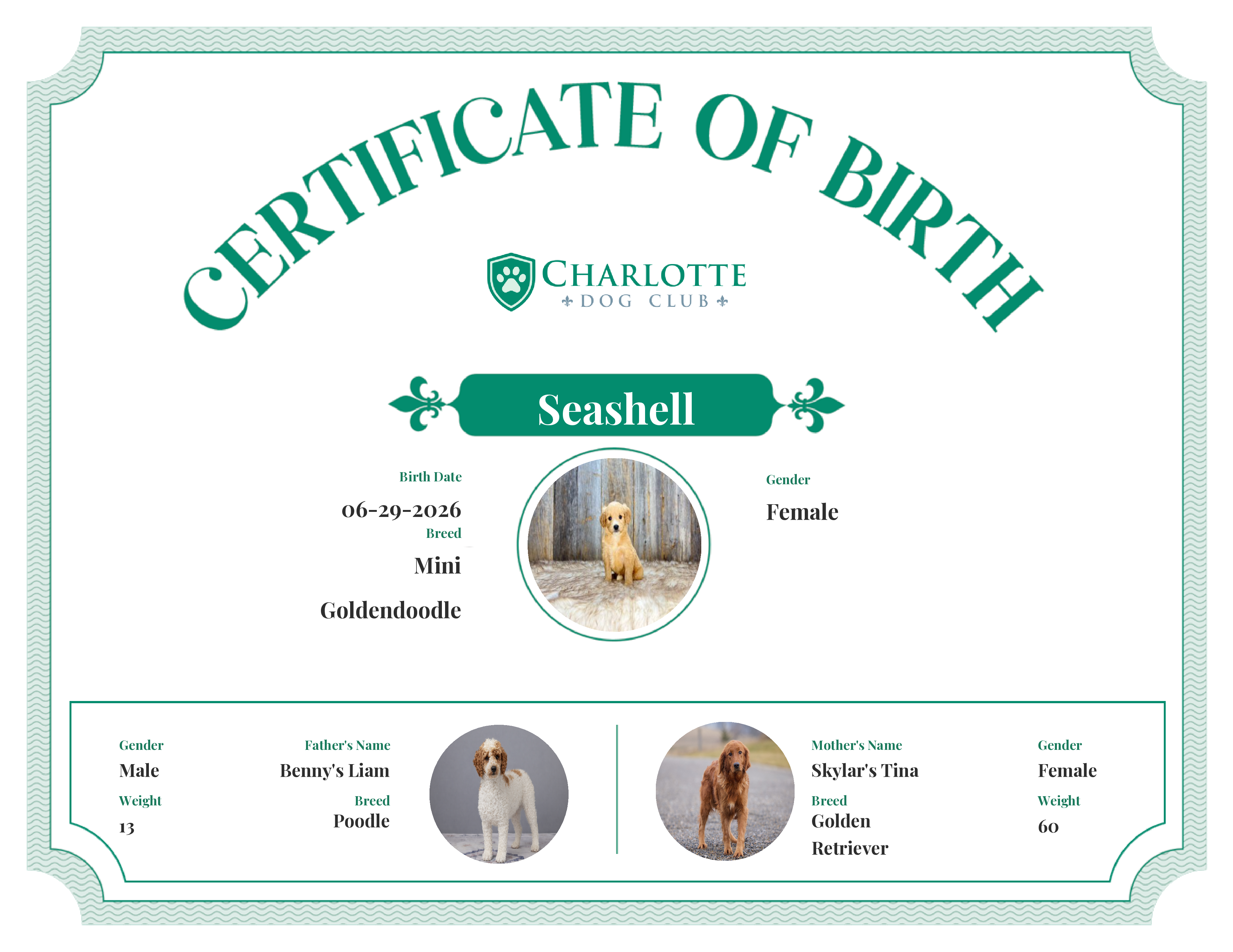 Seashell's Birth Certificate