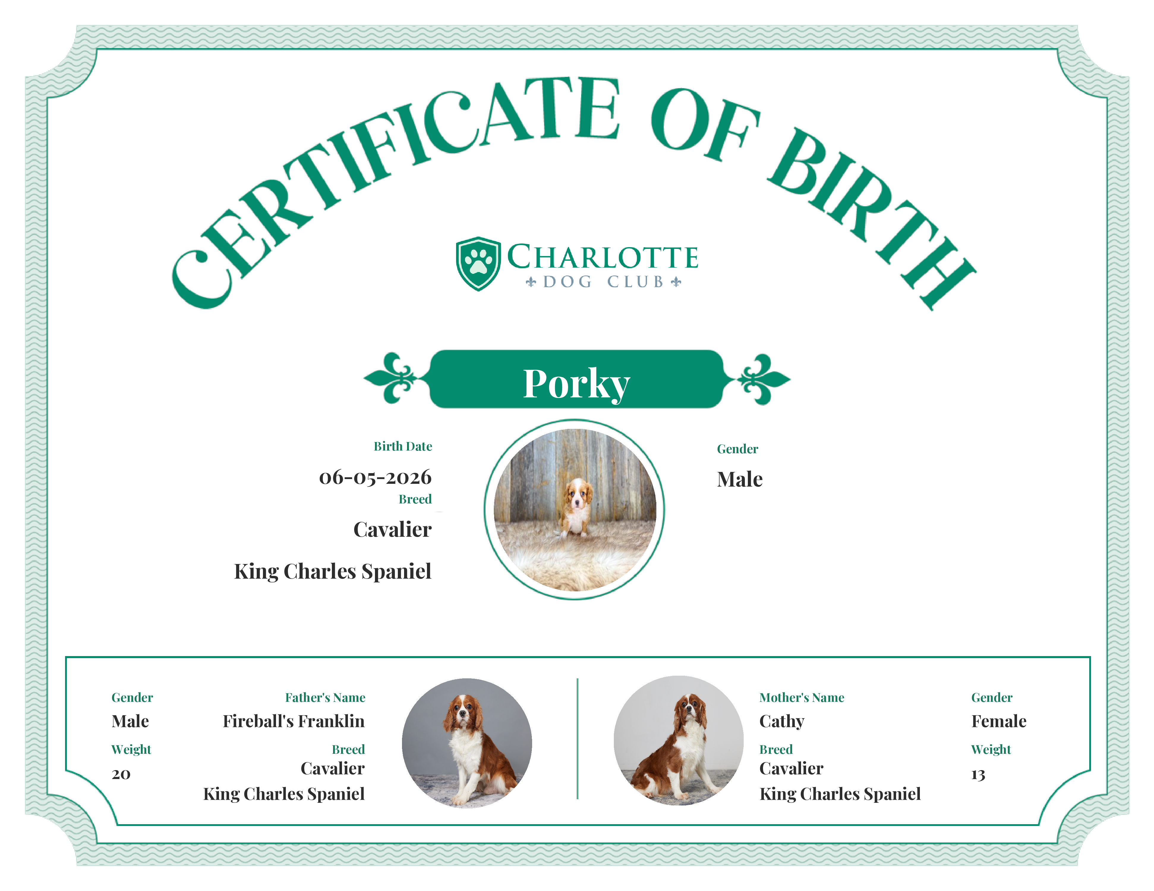 Porky's Birth Certificate