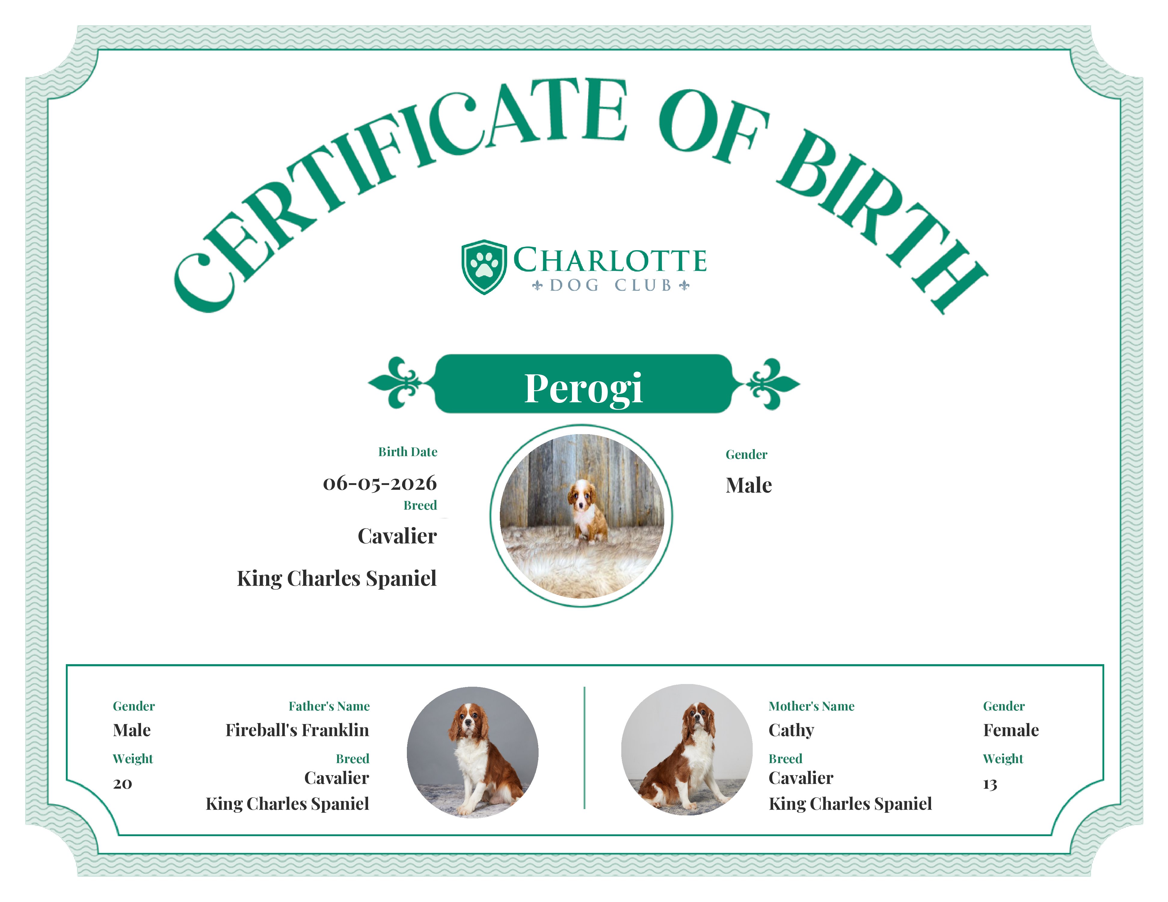 Perogi's Birth Certificate