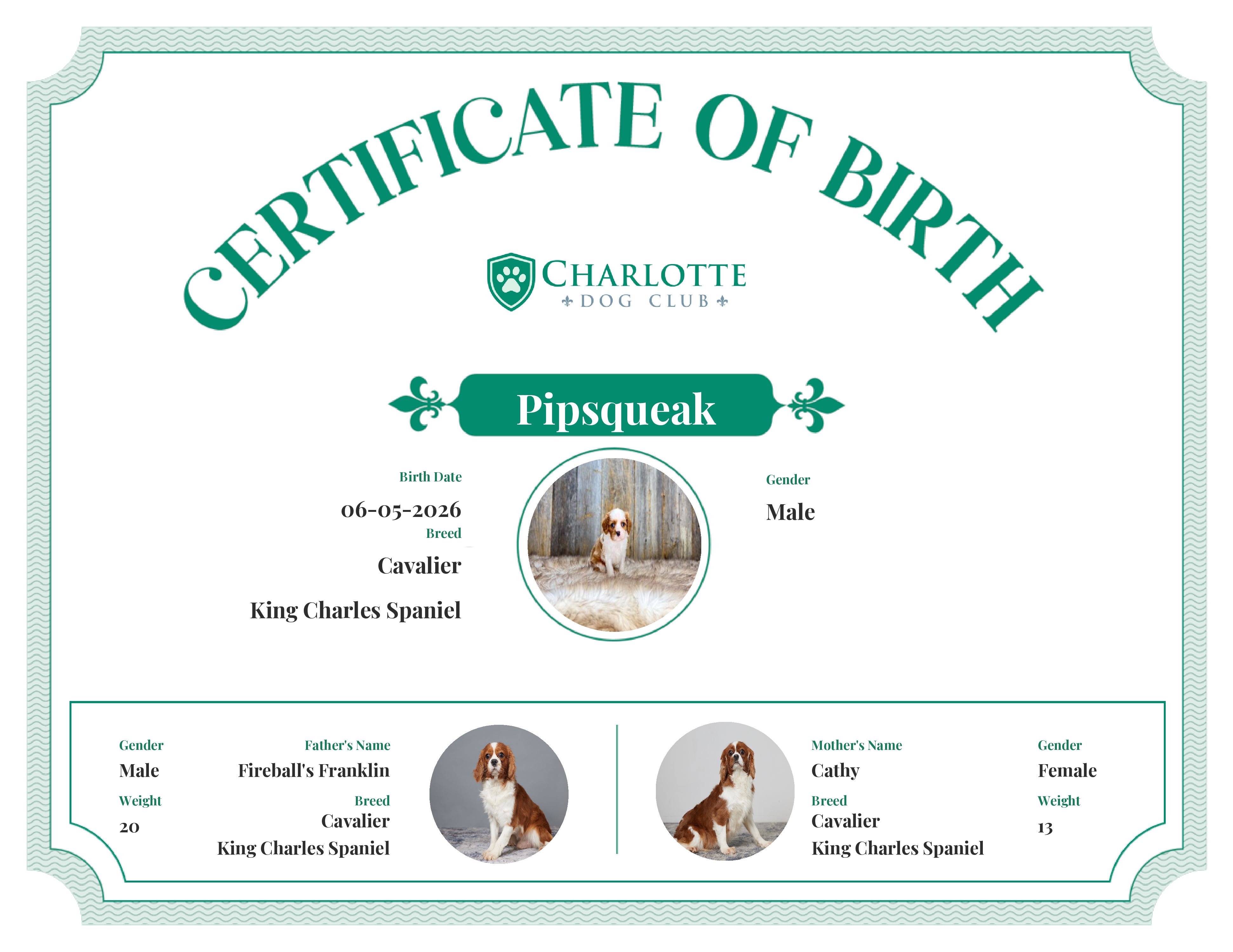 Pipsqueak's Birth Certificate