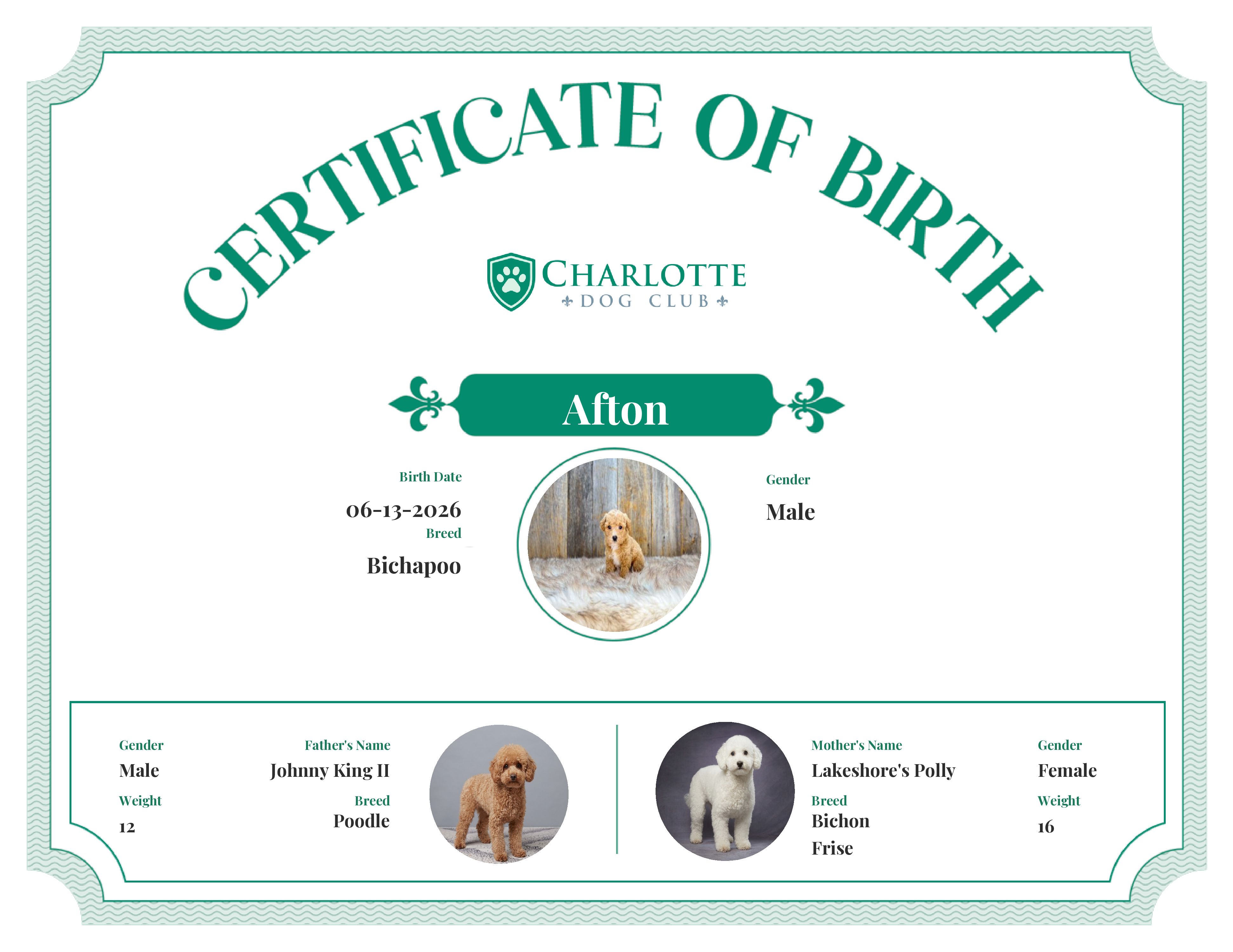 Afton's Birth Certificate