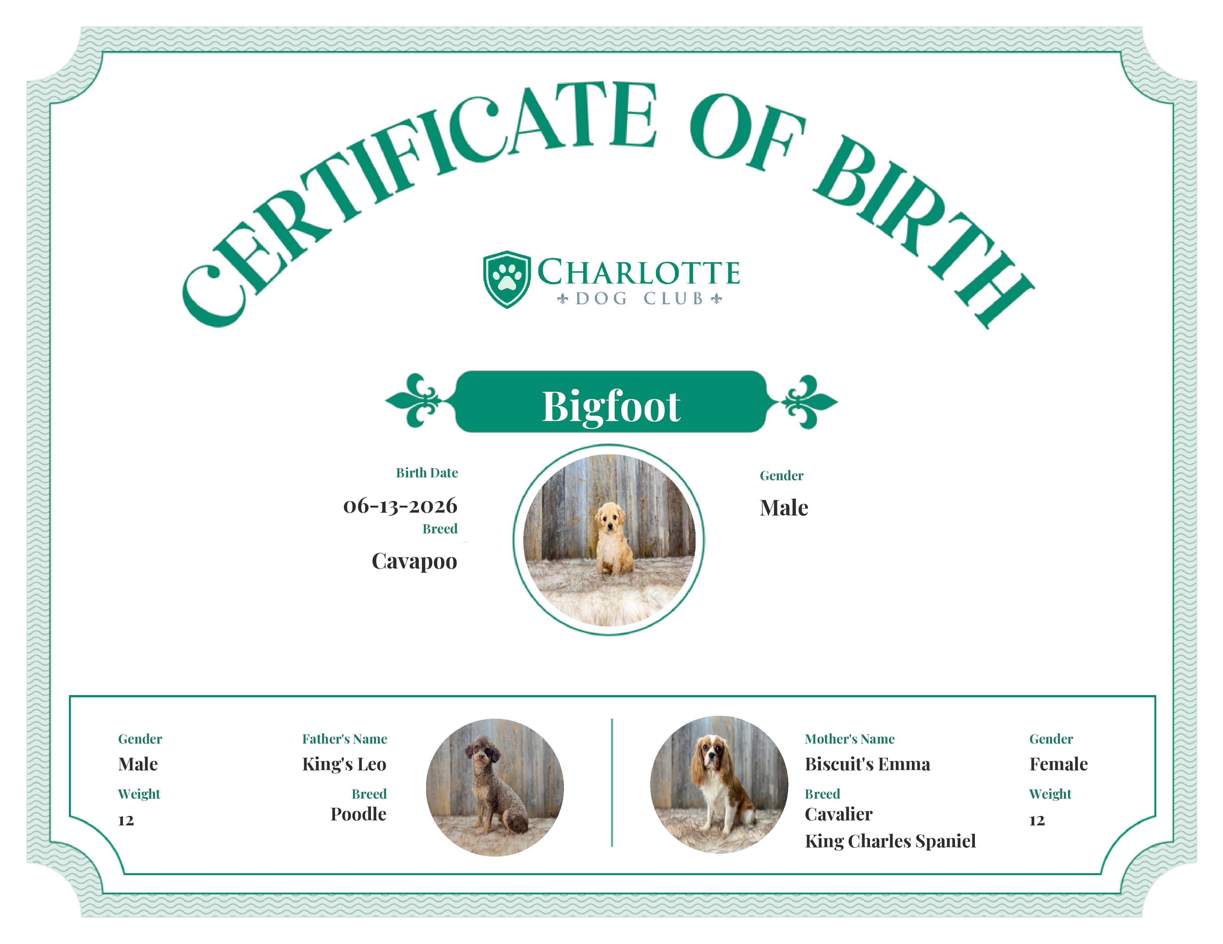Bigfoot's Birth Certificate