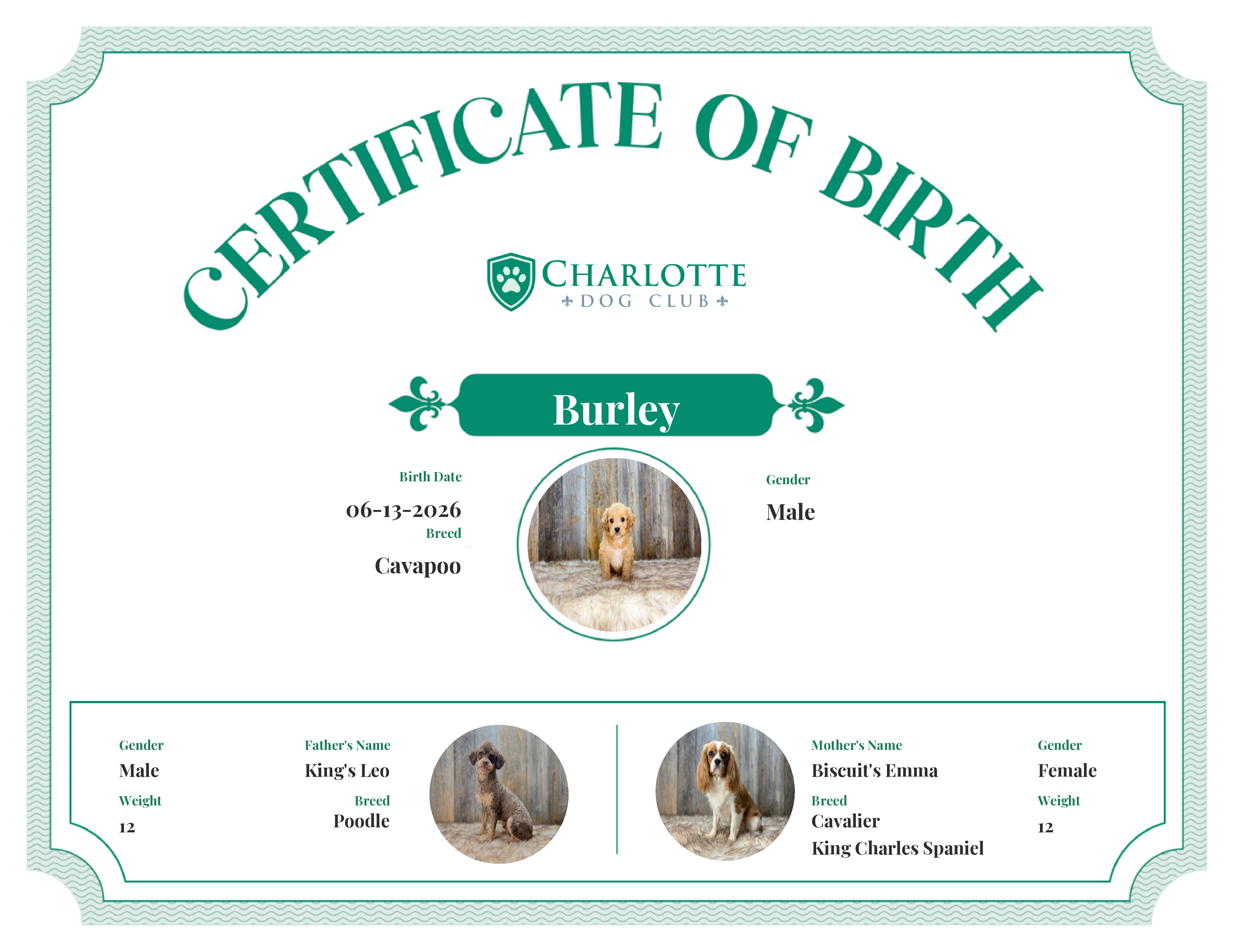 Burley's Birth Certificate