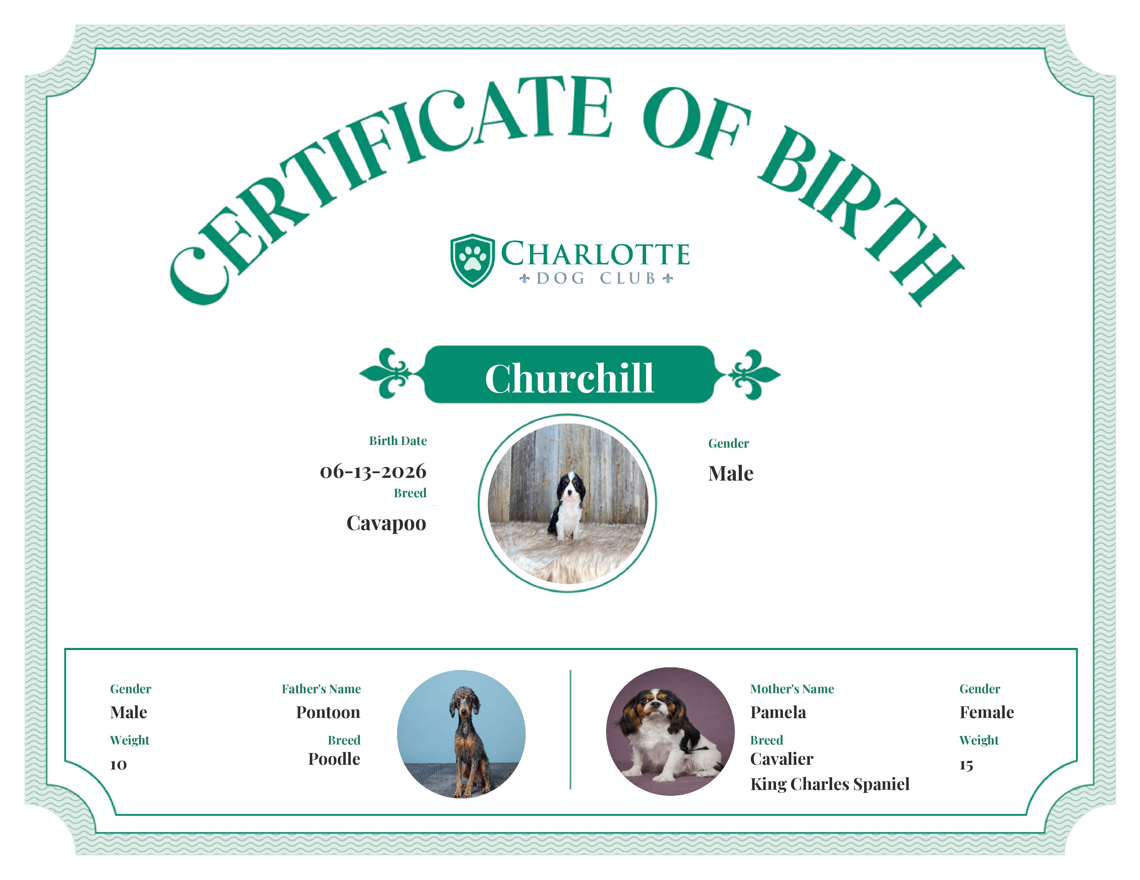 Churchill's Birth Certificate