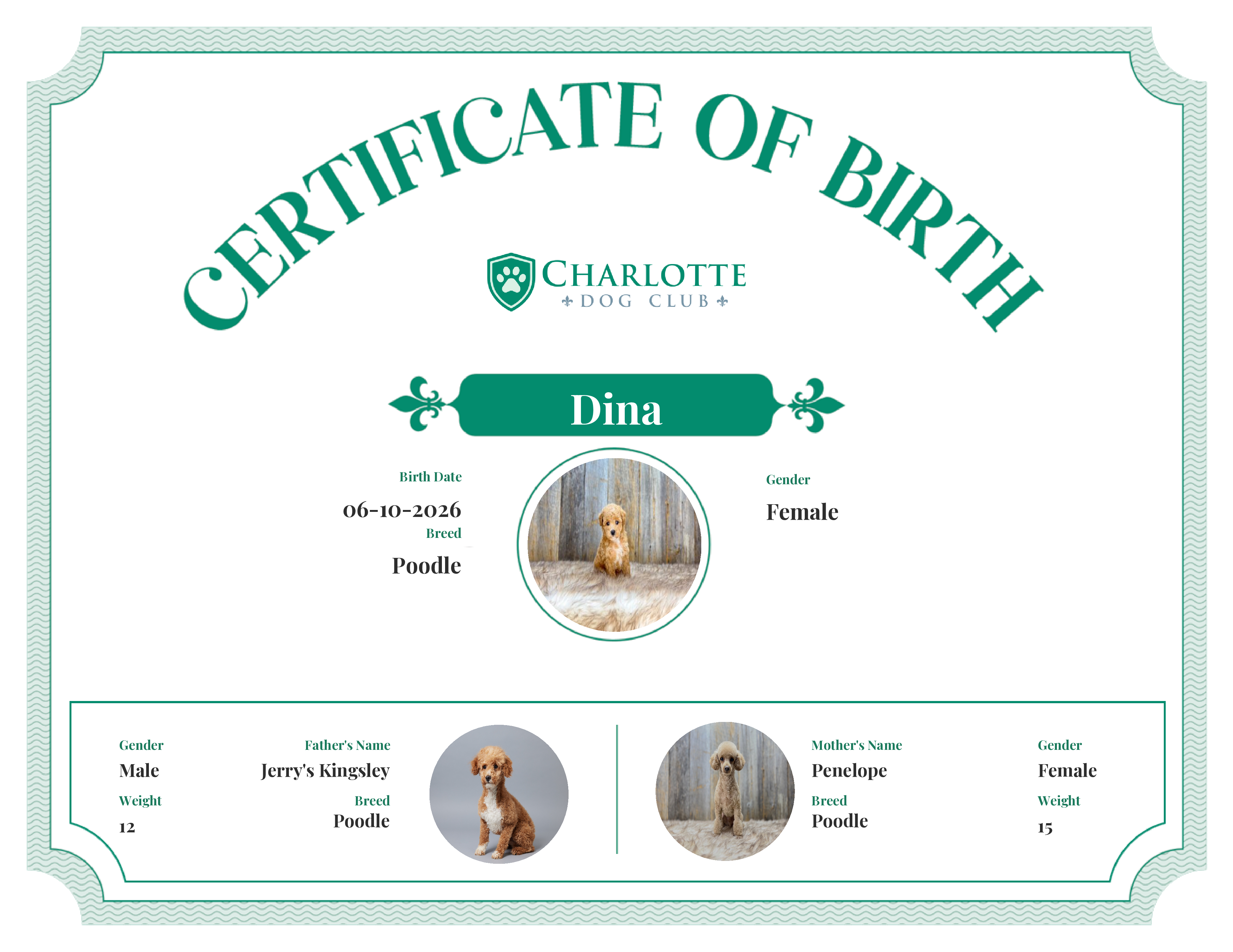 Dina's Birth Certificate