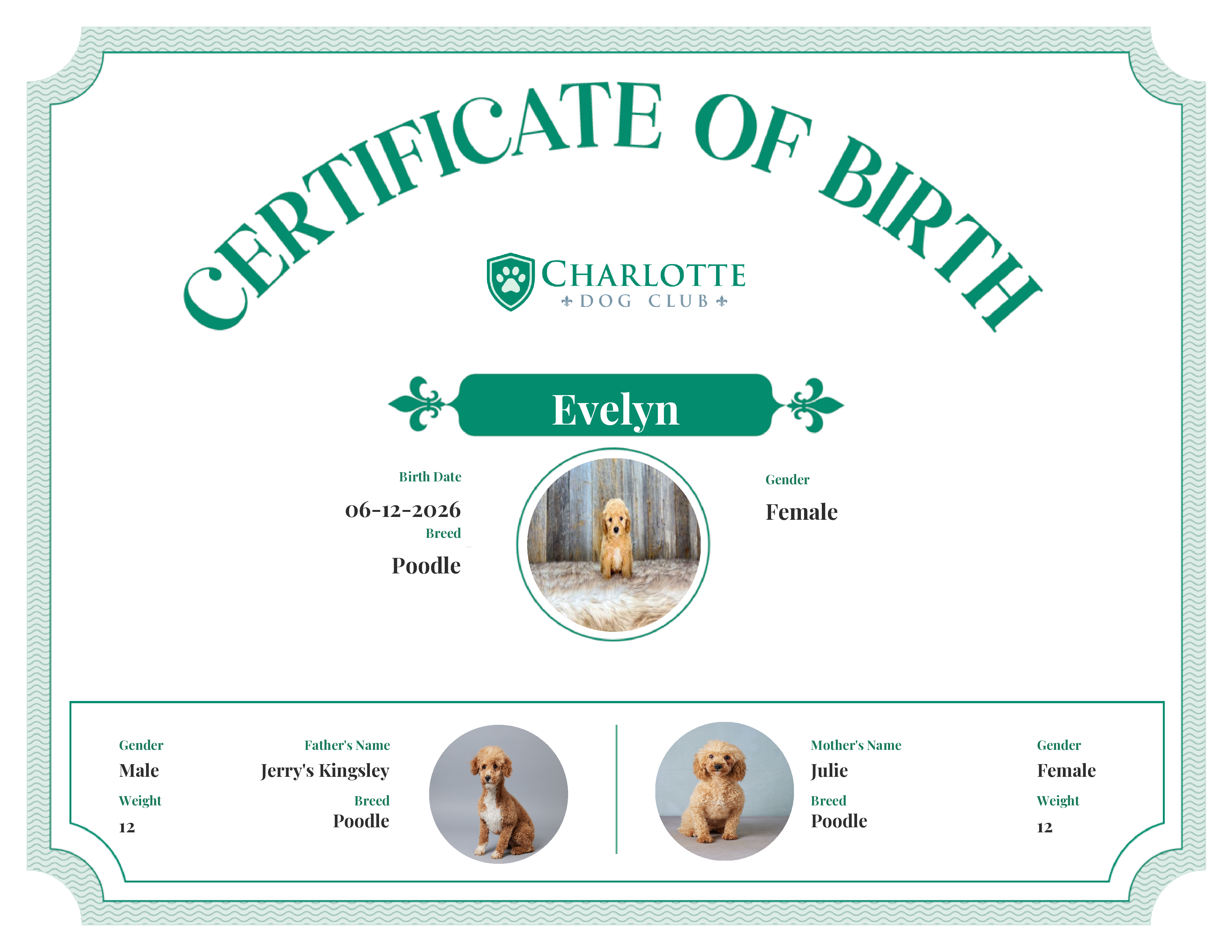 Evelyn's Birth Certificate