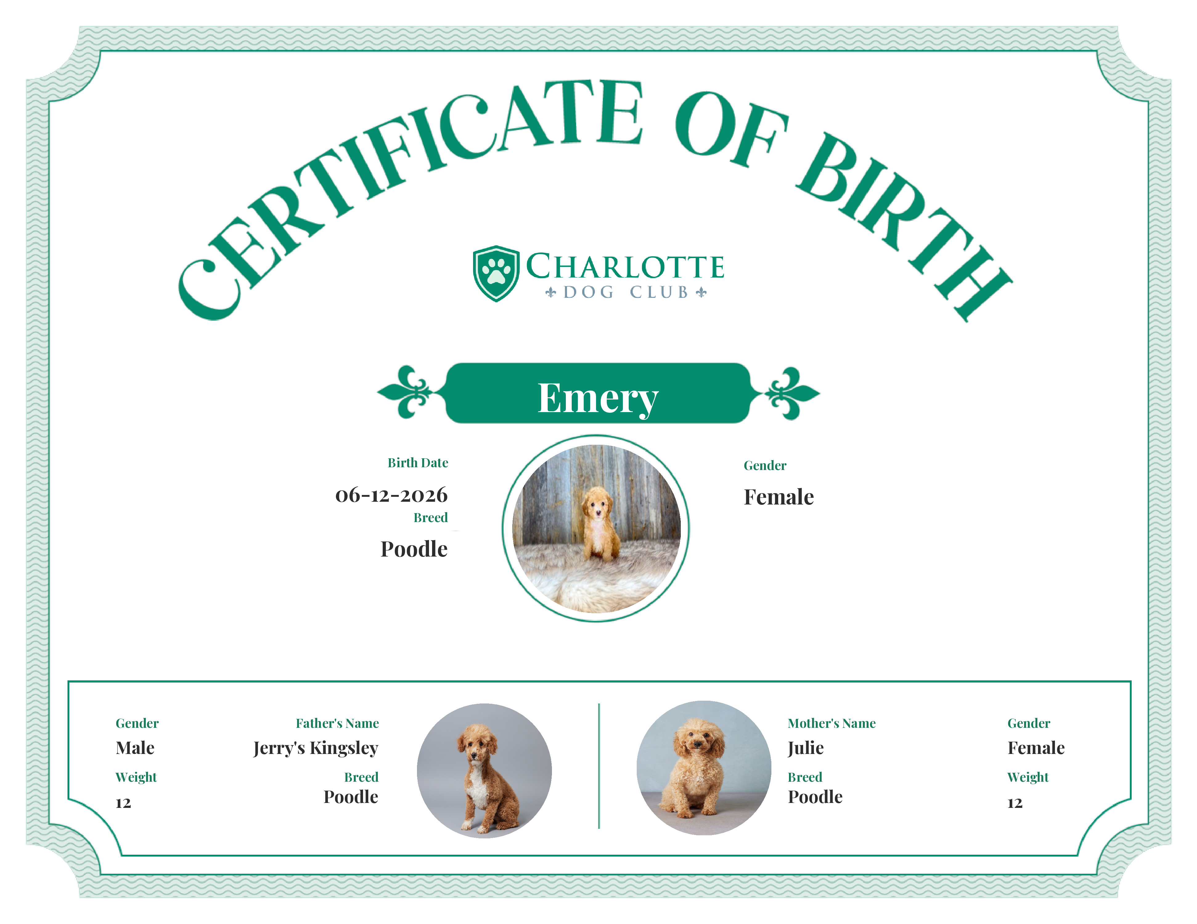 Emery's Birth Certificate