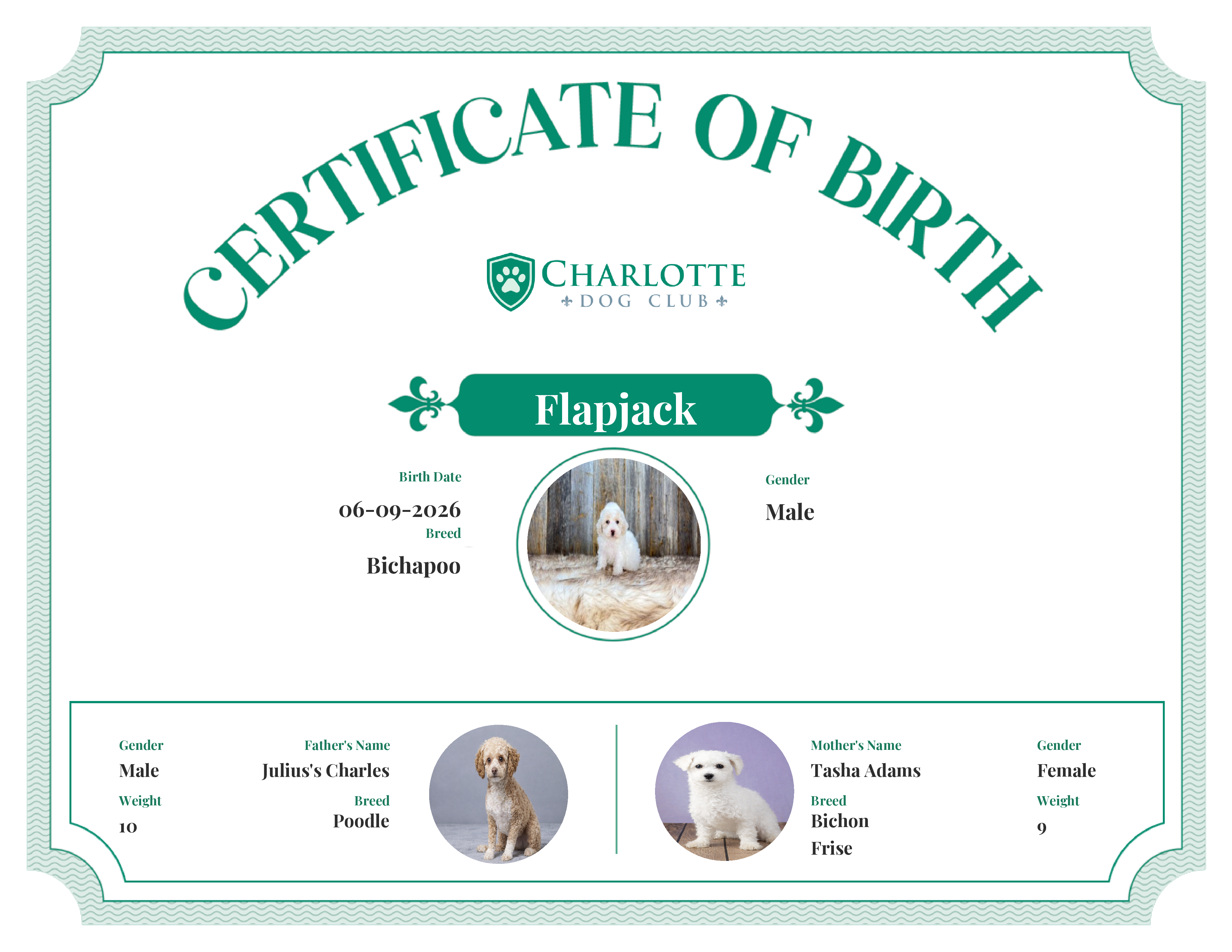 Flapjack's Birth Certificate