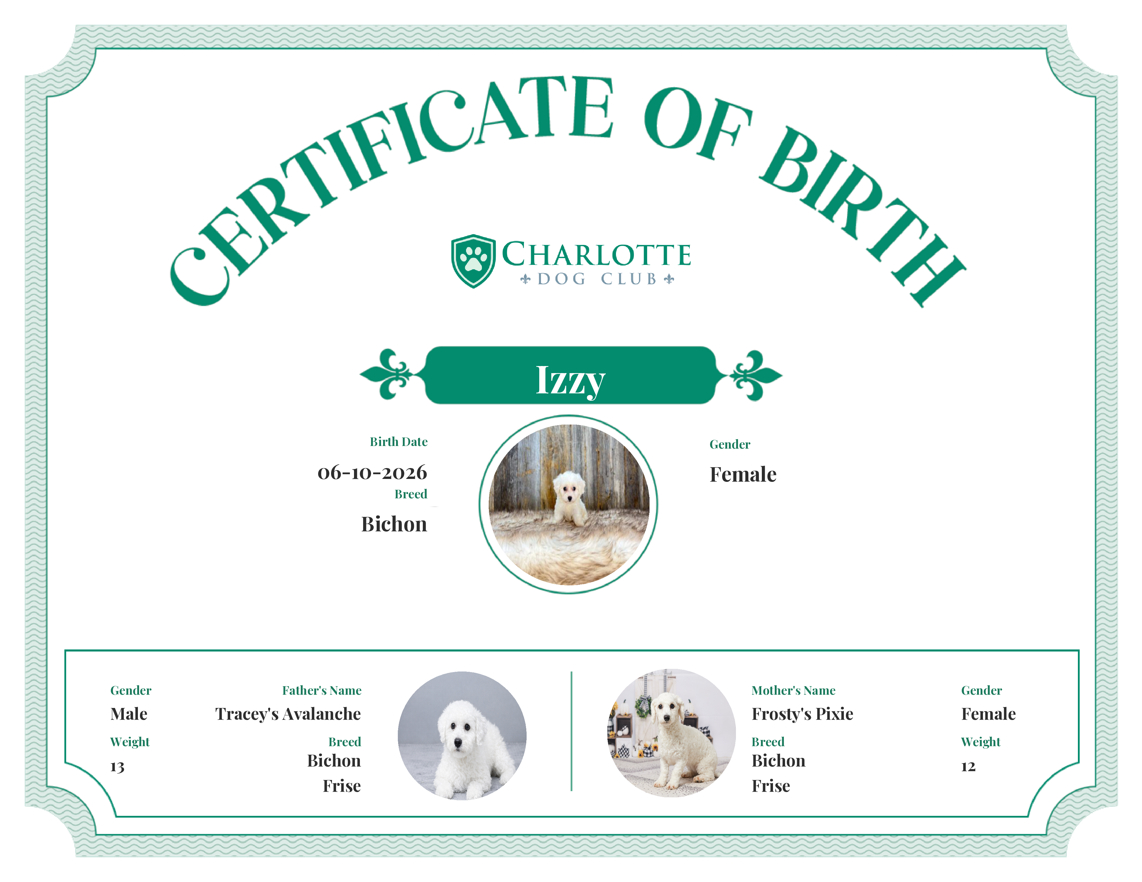Izzy's Birth Certificate