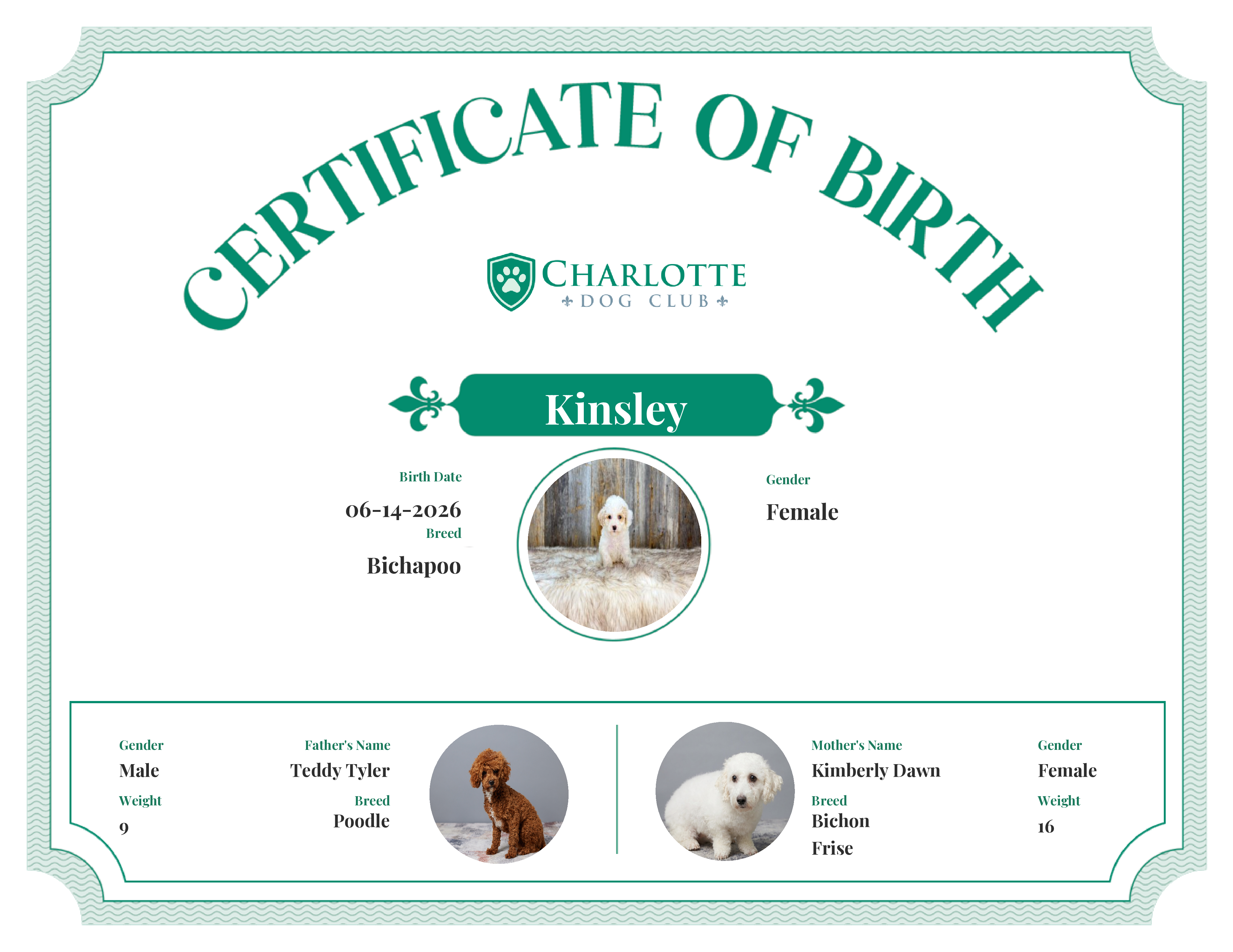 Kinsley's Birth Certificate